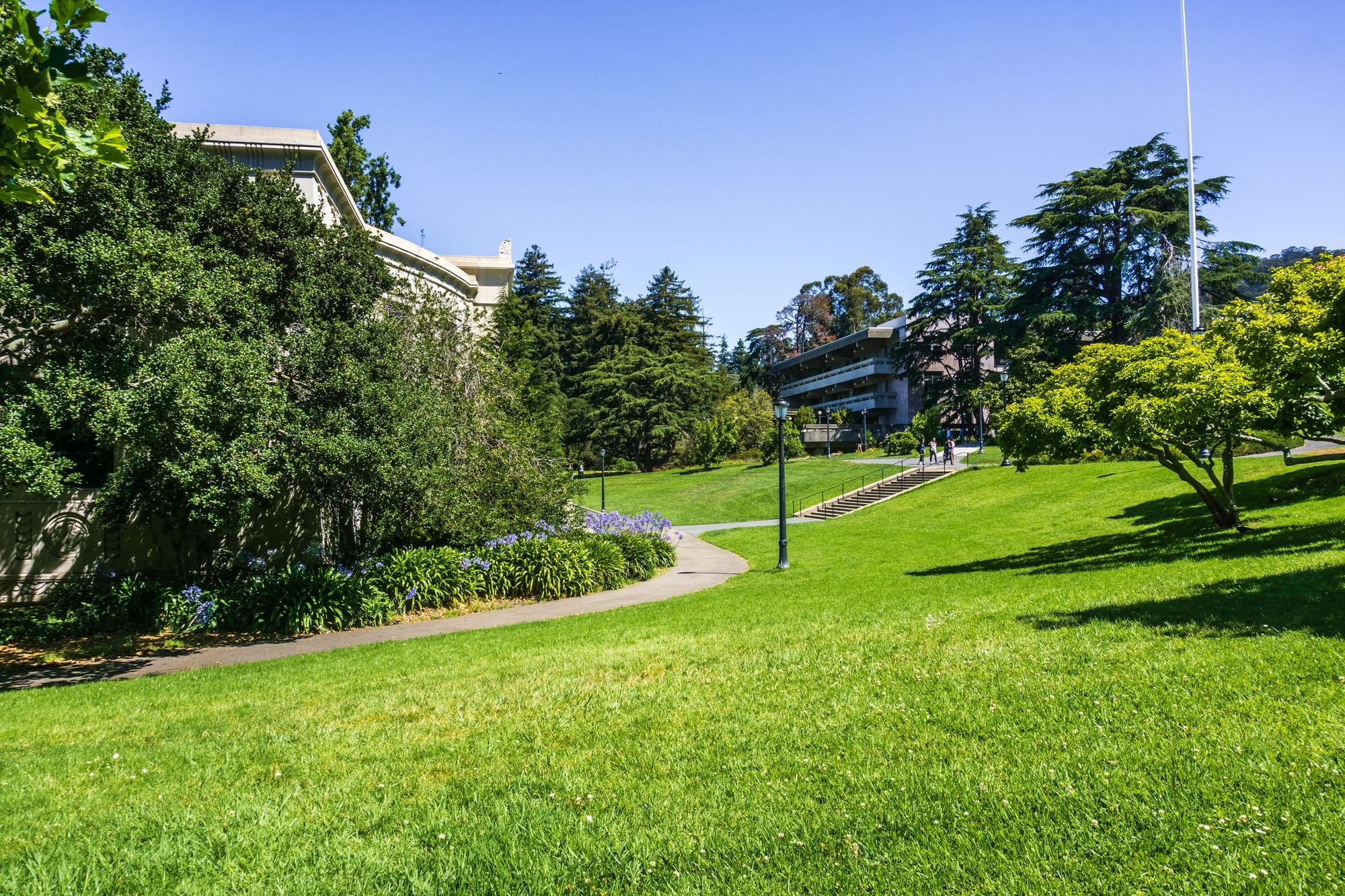 Day Around the Bay: Man Arrested for... Um, 'Pleasuring' Himself Outside UC Berkeley Students' Home - Vimarsana News