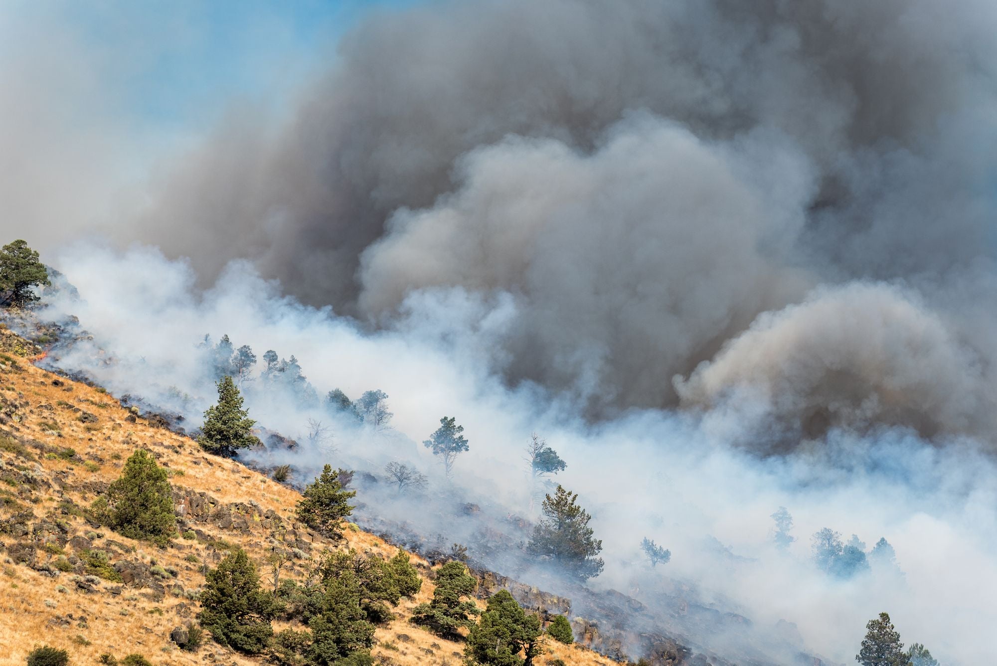 Smoke From Oak Fire Expected to Bring Haze, Bad Air to Bay Area This Week