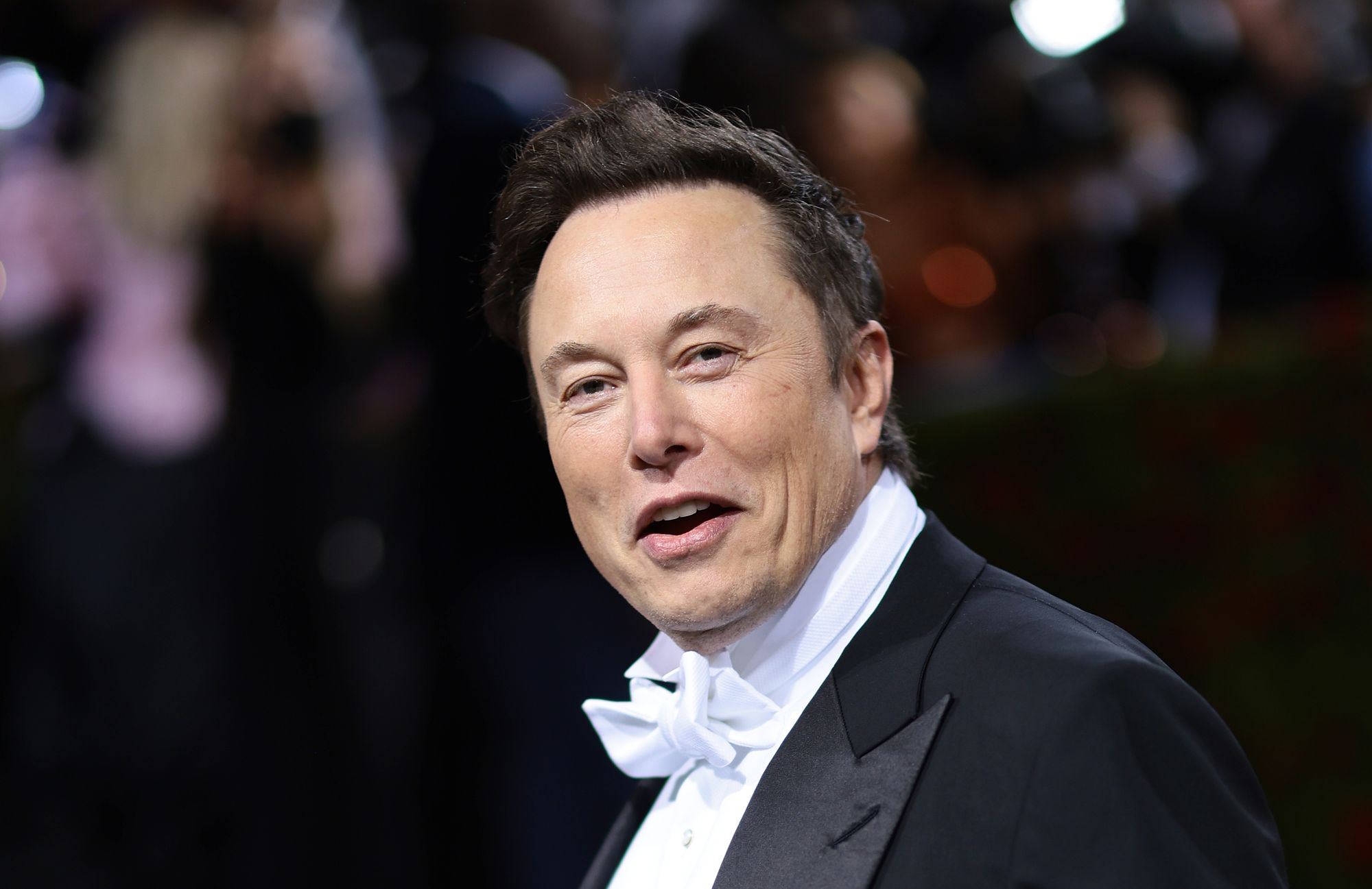 Elon Musk Had Secret Twins With One of His Companies’ Top Execs, Now the Mother Might Be In Line for Twitter CEO?