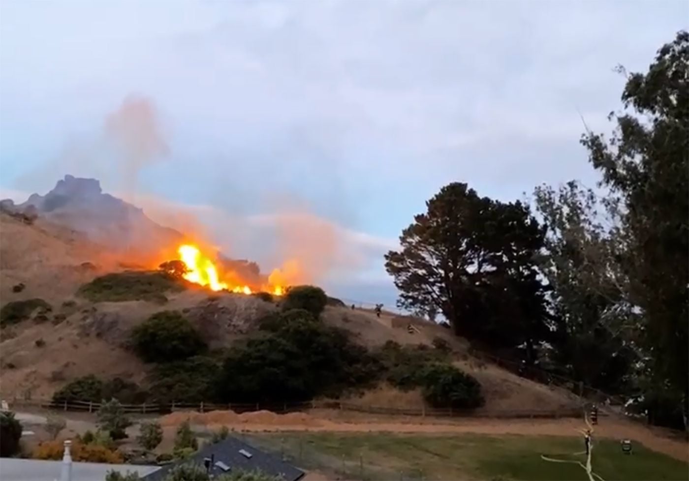 Brush Fire Breaks Out In Corona Heights Park — Second SF Hills Brush Fire In Two Days
