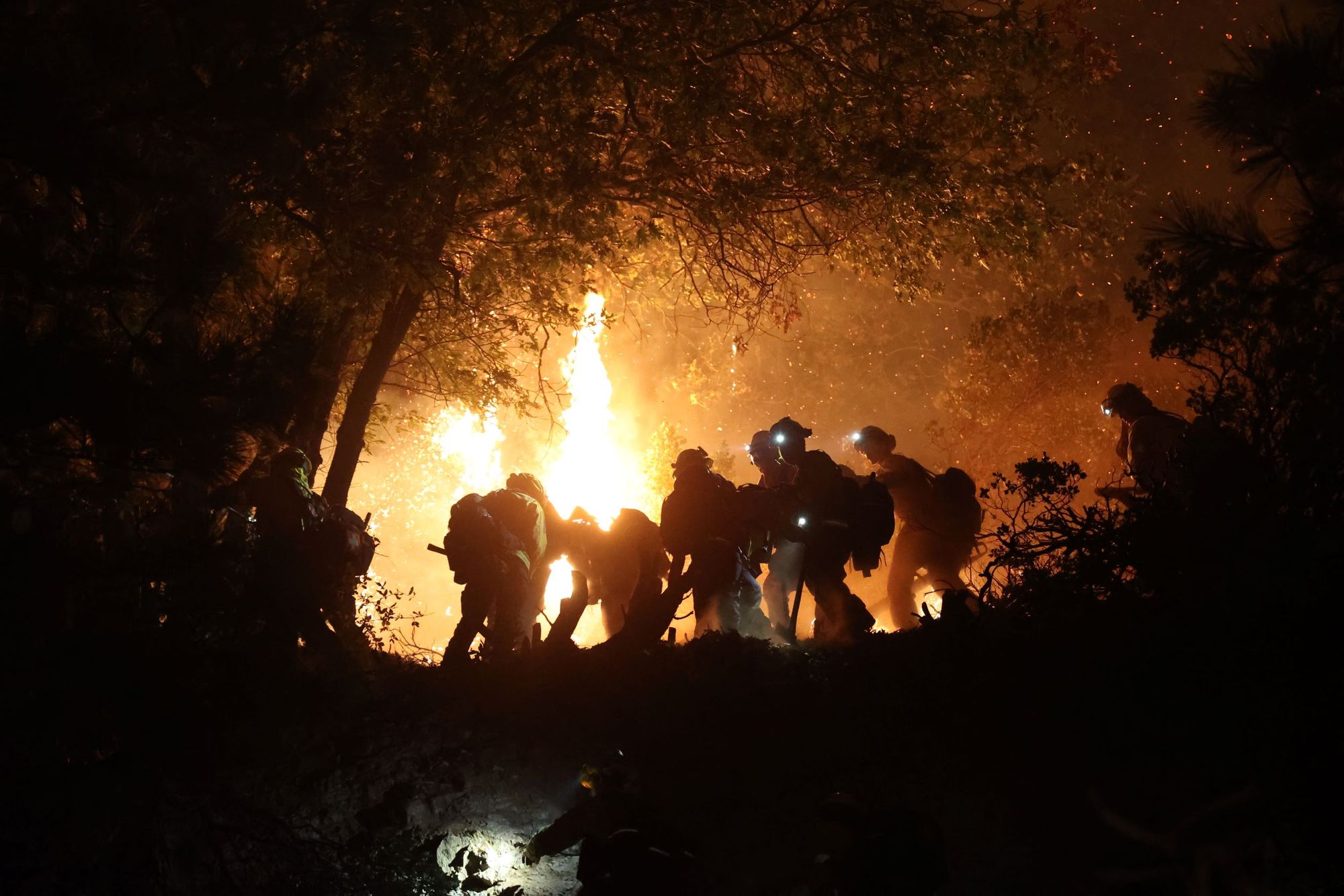 Mosquito Fire Grows to Over 33,000 Acres, Becomes Largest Currently Burning CA Wildfire