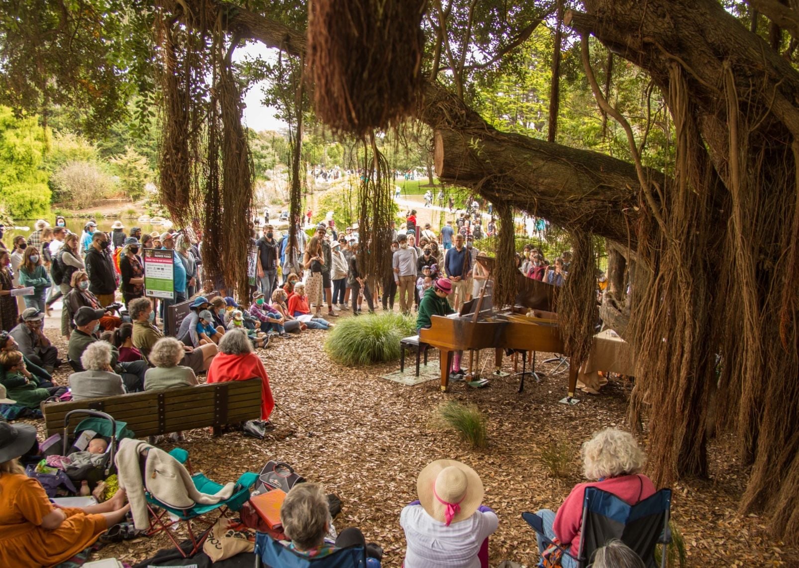 Your Guide to Flower Piano 2022, Happening This Weekend In Golden Gate Park