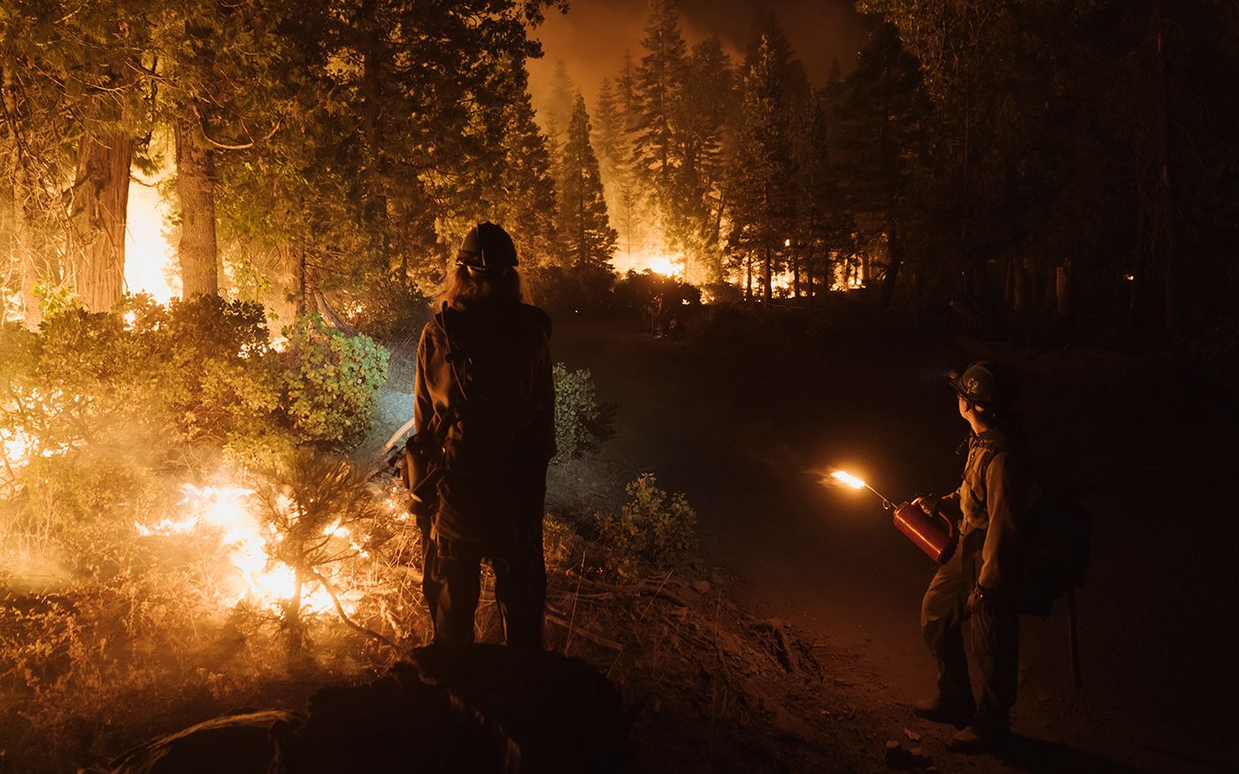 Mosquito Fire Quickly Grows to Largest CA Wildfire of the Year, at 64,000 Acres and Counting