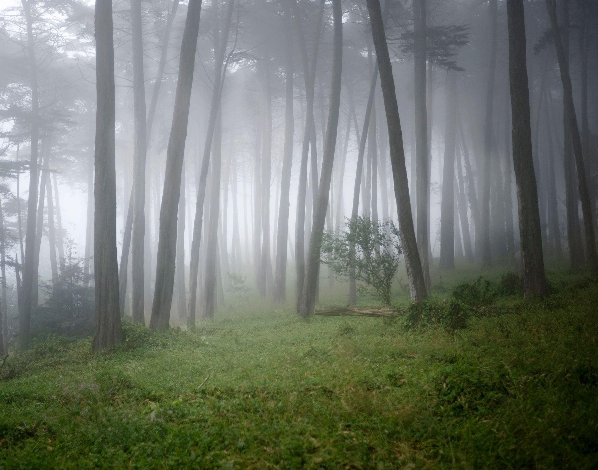 Saturday Links: SF's Karl The Fog Was Very Thick Last Night and This Morning