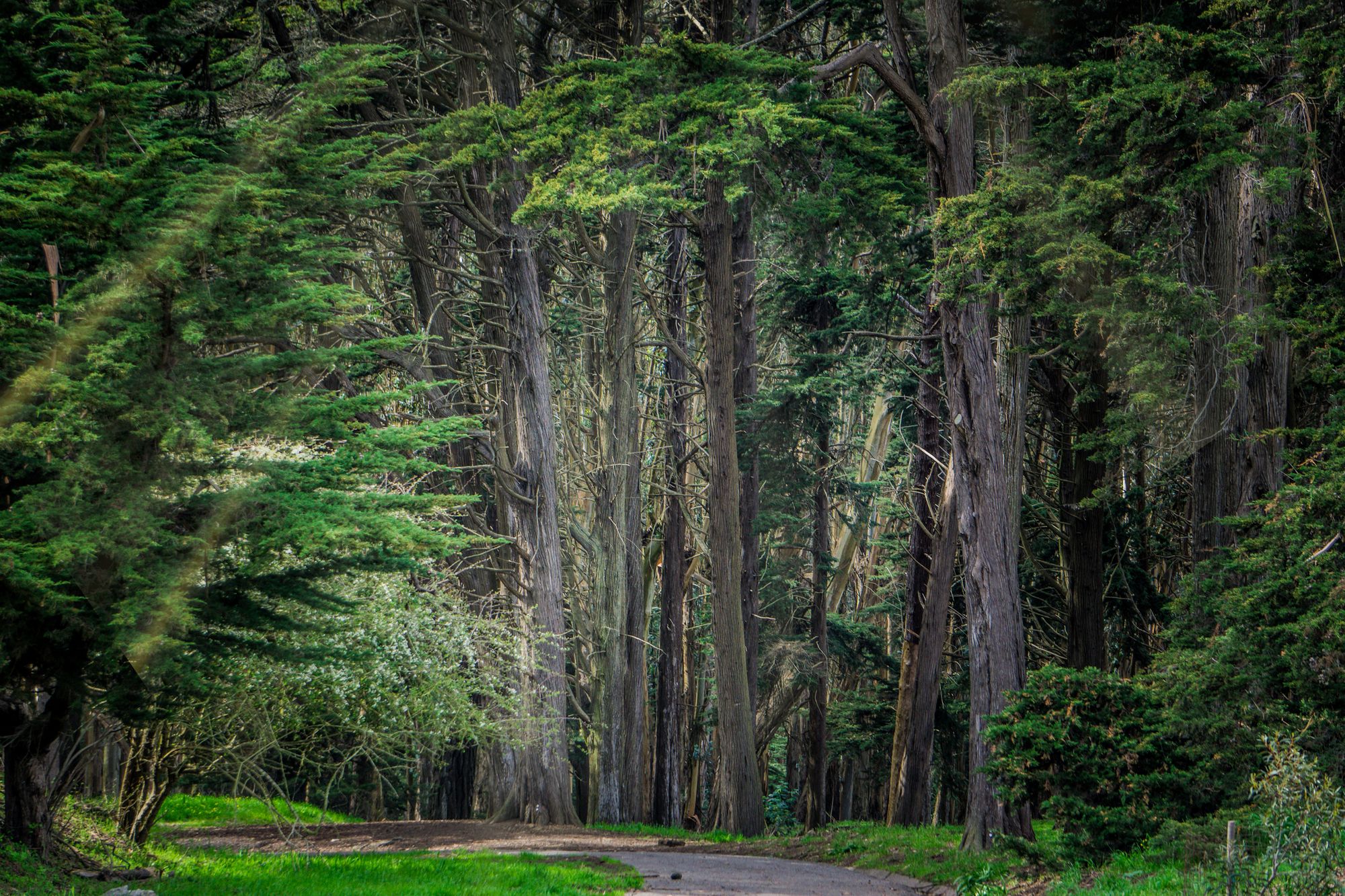 Saturday Links: Presidio Heights Jeweler Robbed, $6K Worth of Merchandise Stolen