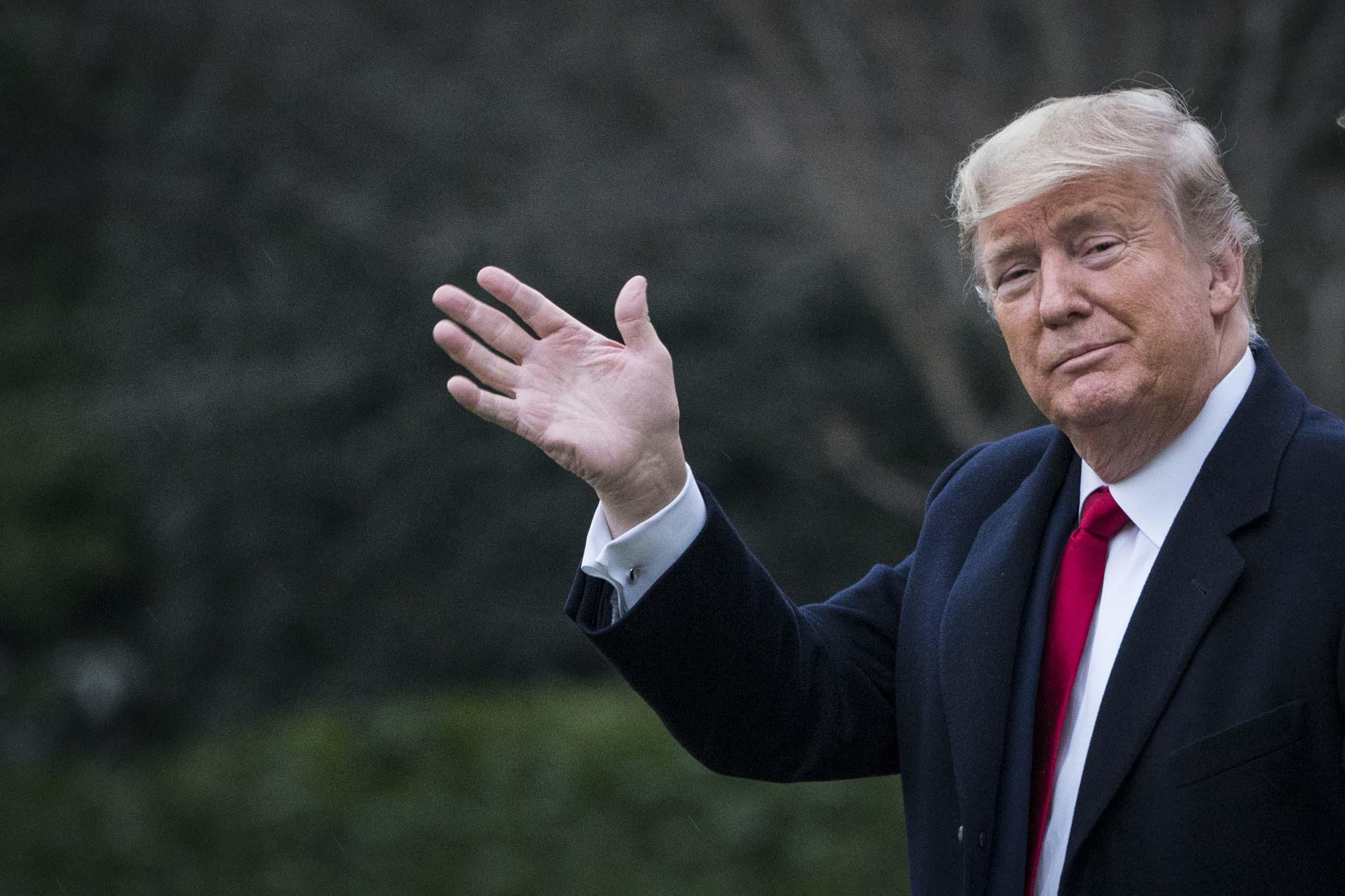 Oof: Trump's Twitter Account Is Back Online After Millions Vote in Poll About Its Reinstatement