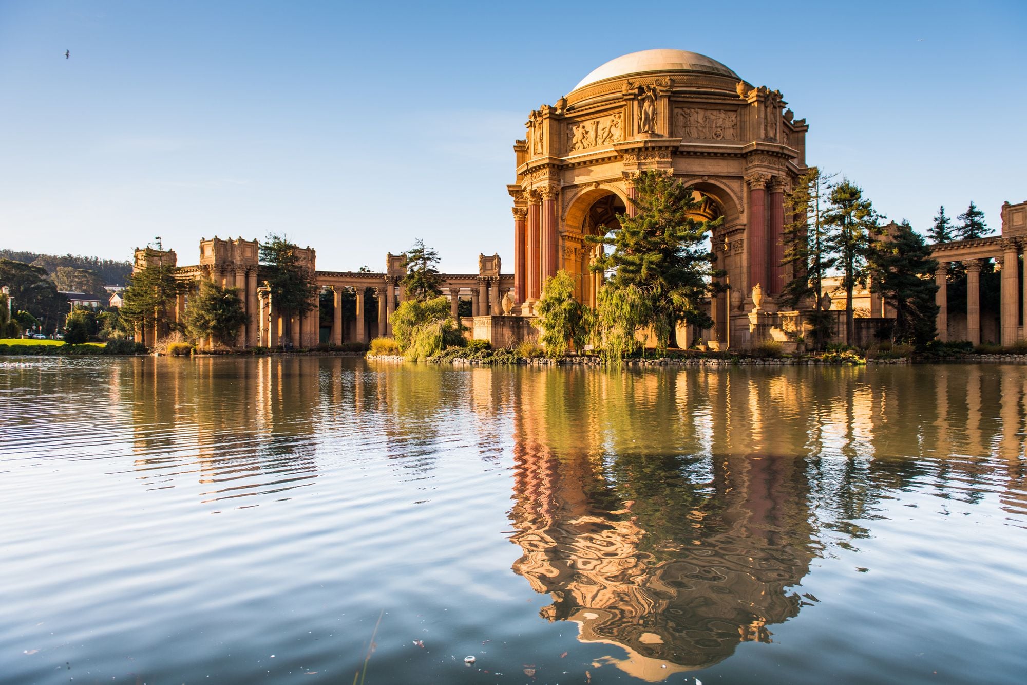 Two Photographers Attacked at SF's Palace of Fine Arts — on Same Day