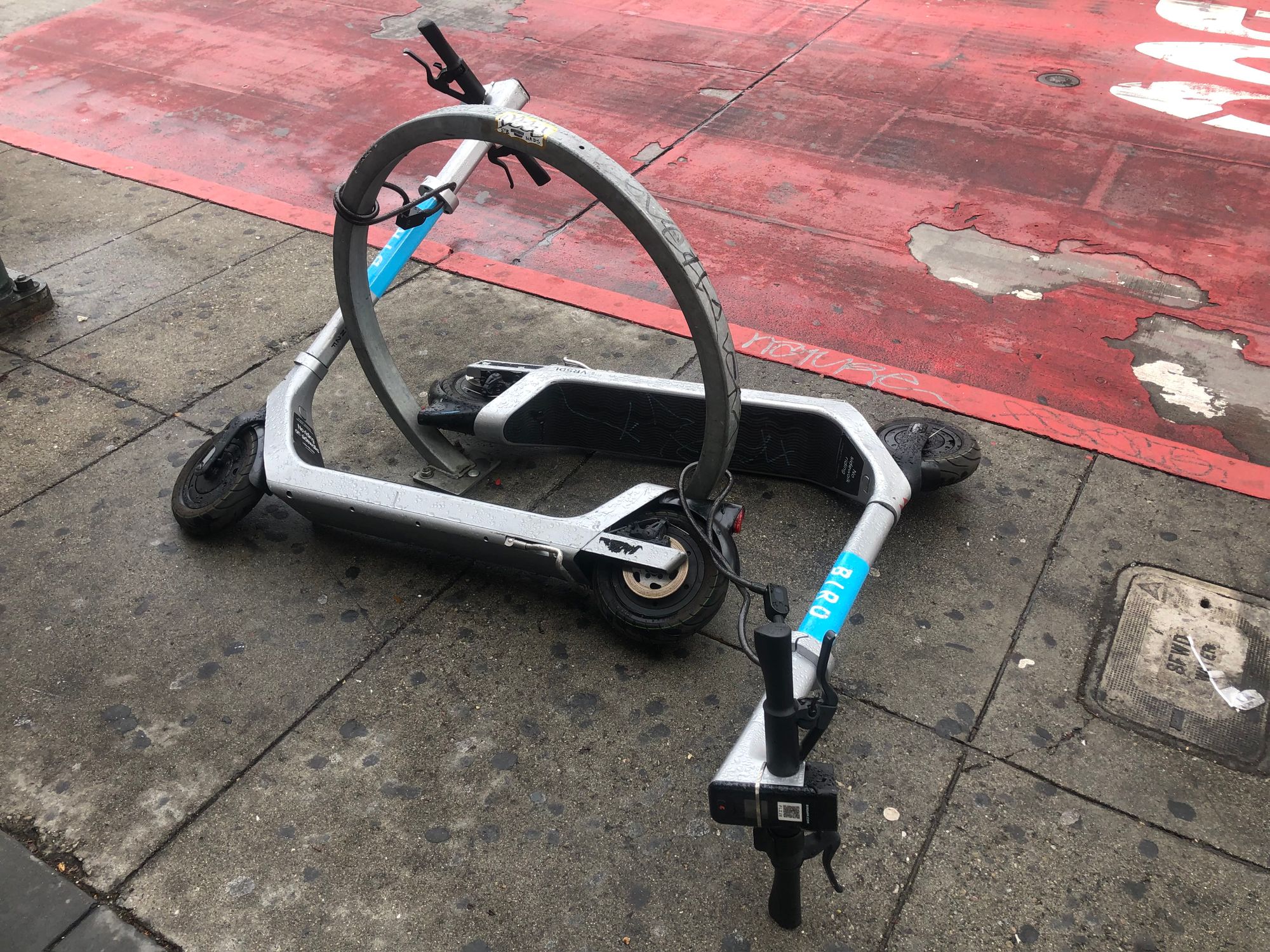 Scooter Company Bird May Go Bankrupt, or Even Out of Business, After an ‘Overstatement’ of Revenue