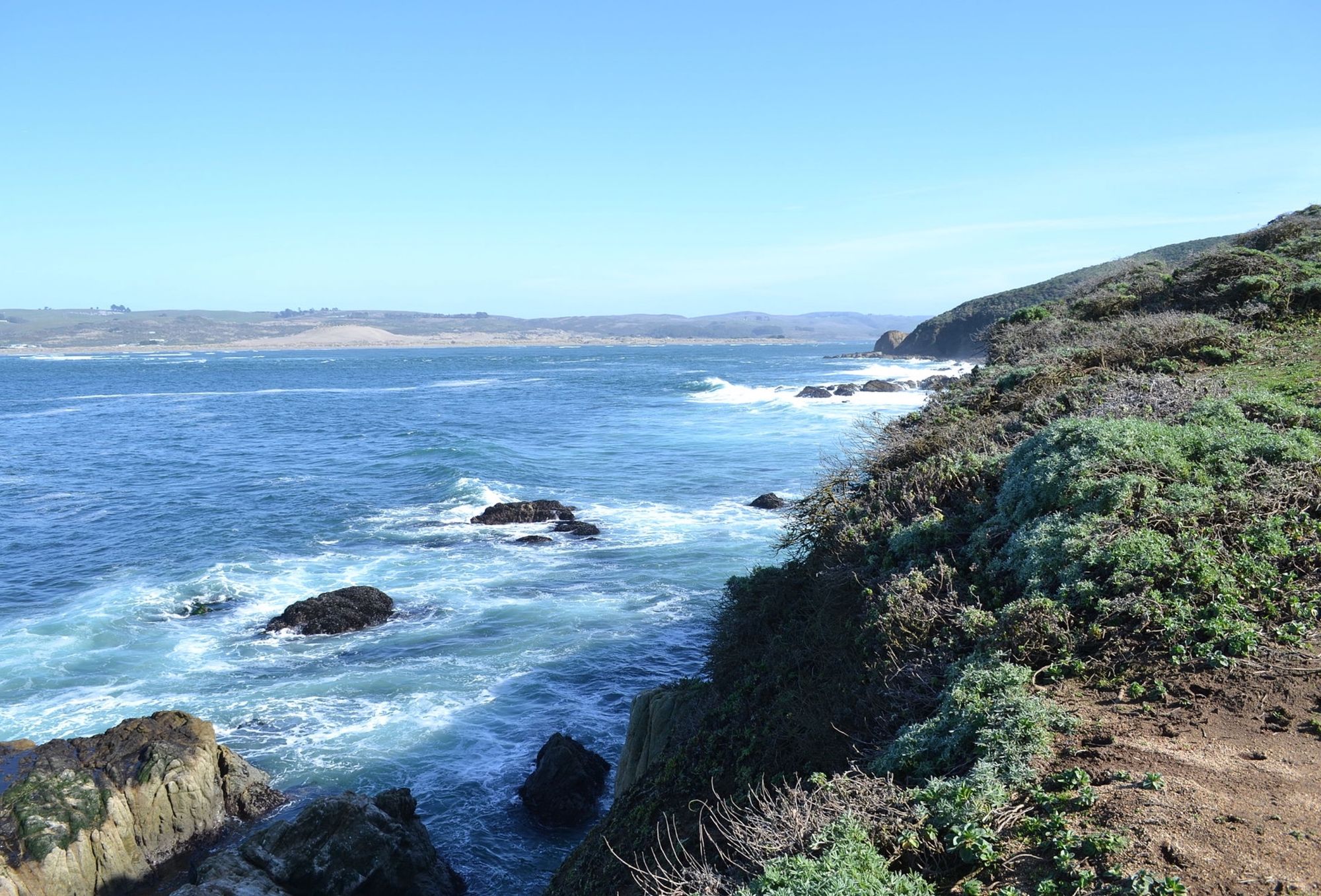 Video Four Tomales Bay Kayakers Get Helicopter Rescue After Nearly