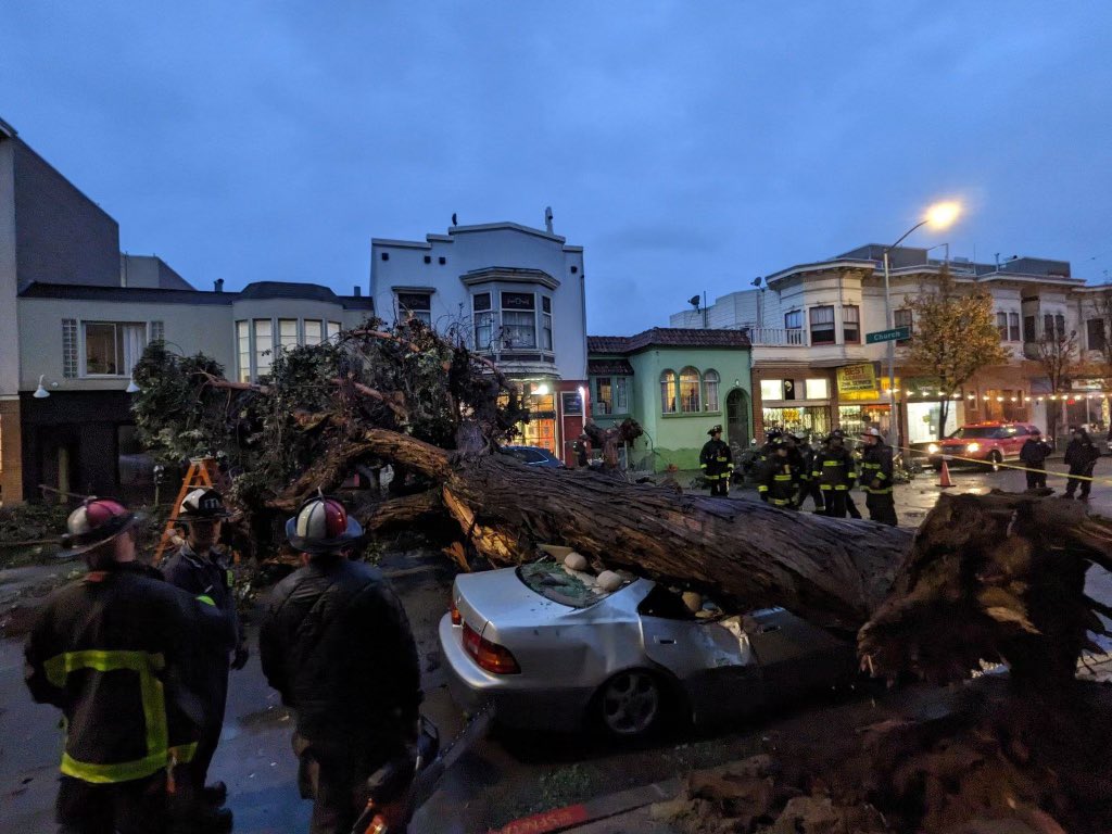 SF Still Digging Out From Saturday’s Mudslides, Downed Trees, Floods, and Chaos
