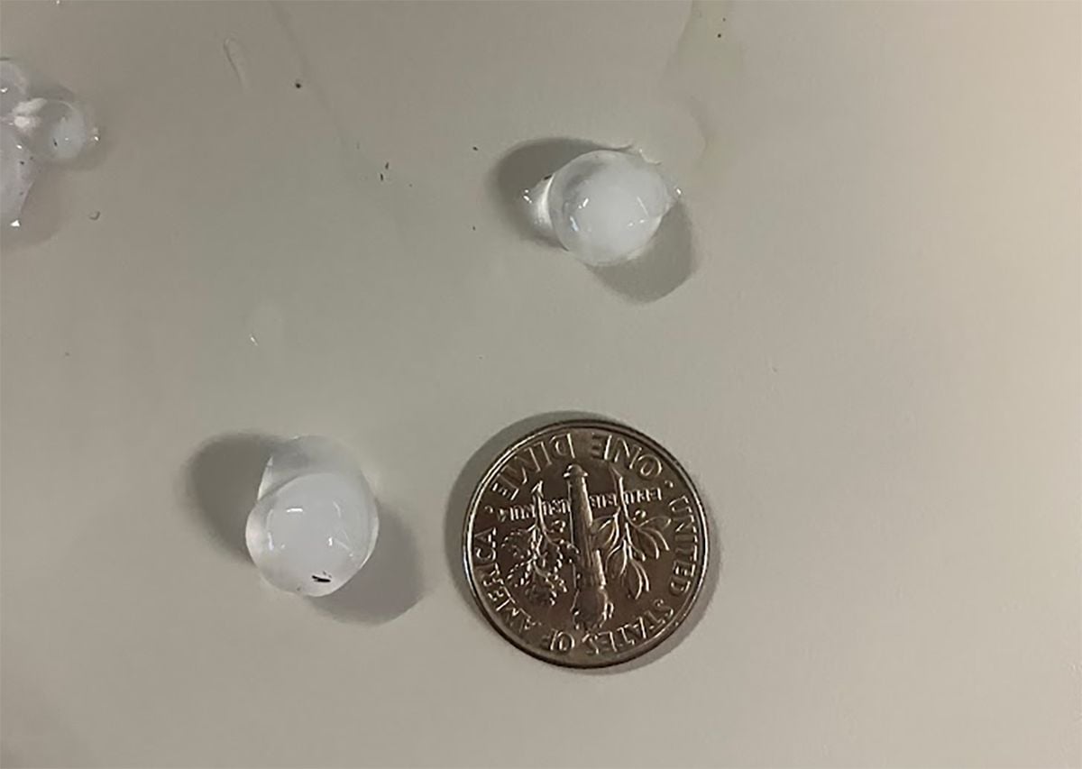 Tuesday Morning Topline: Wind, Blinding Rain, and Hail Cause Damage Around the Bay