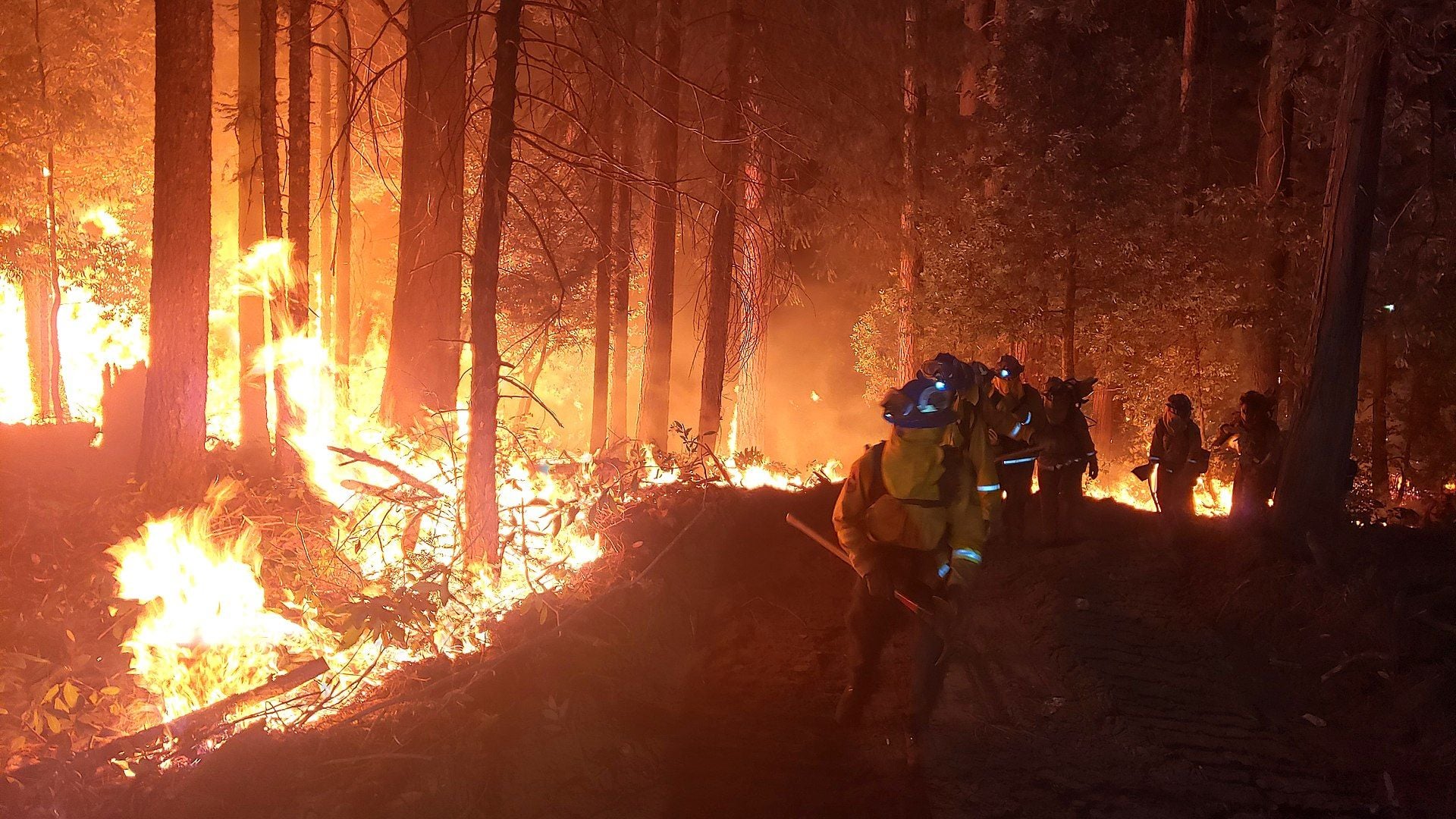 Judge Rules PG&E Can Be Charged With Involuntary Manslaughter in 2020 Zogg Fire