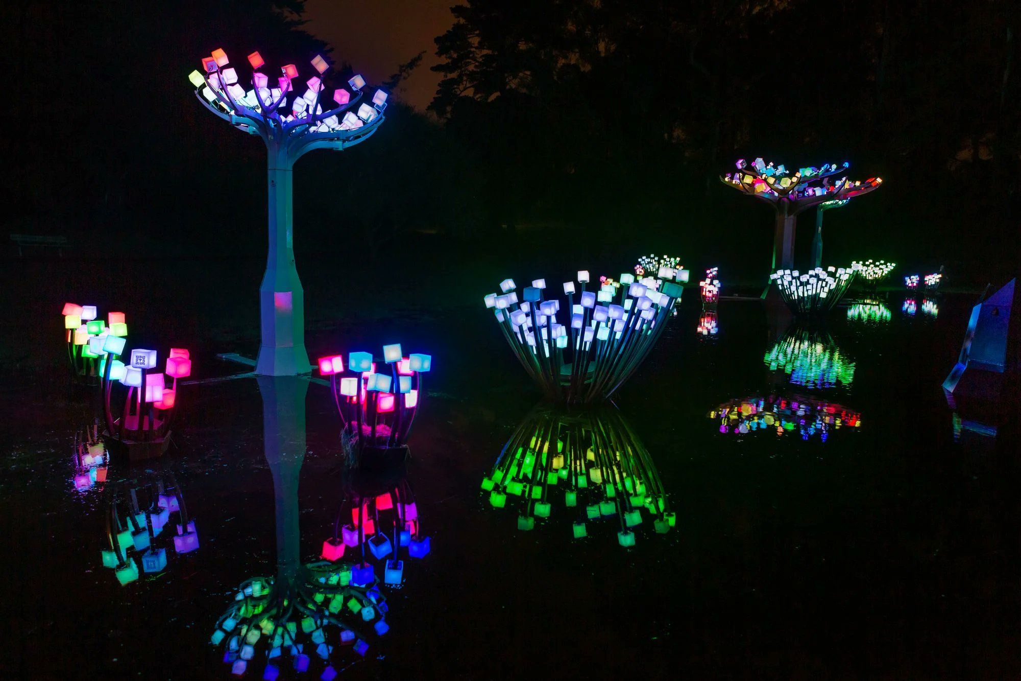 Day Around the Bay: Entwined LED Forest Has Its Closing Party Canceled Over Weather