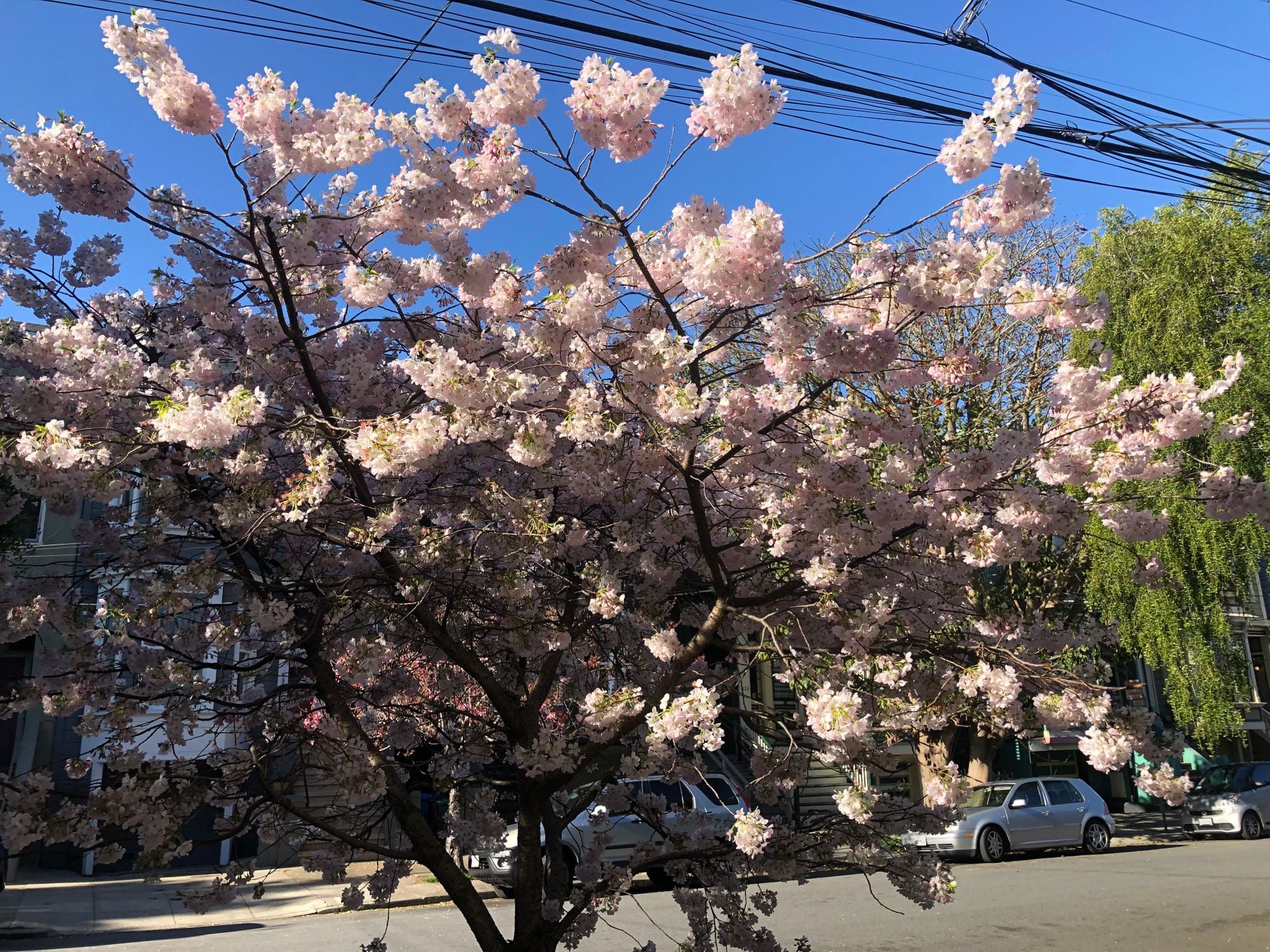 Day Around the Bay: Board of Supervisors Couldn’t Meet Because Someone Sliced Their Comcast Cables