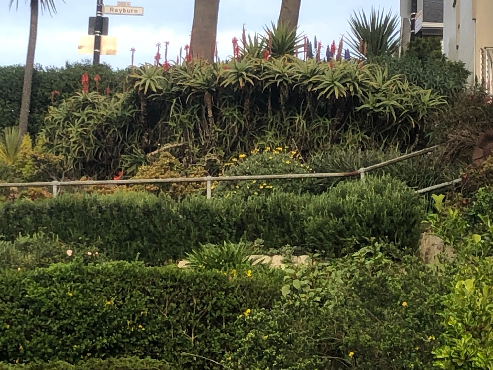 Friday Morning Constitutional: Man Shot and Killed Near Powell Street BART