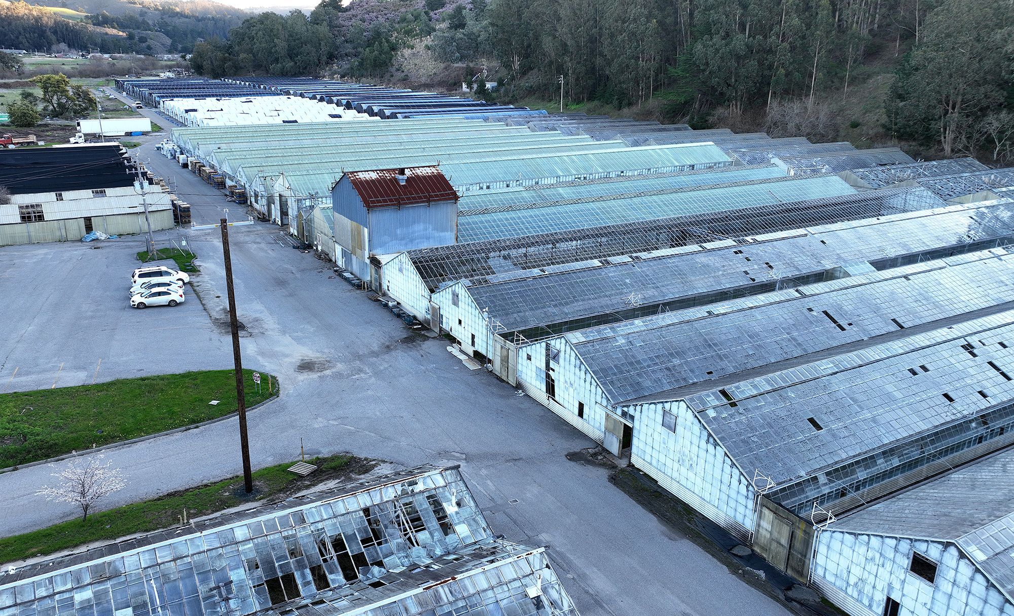 Sole Surviving Victim of Half Moon Bay Shooting Says He's 'Scarred for