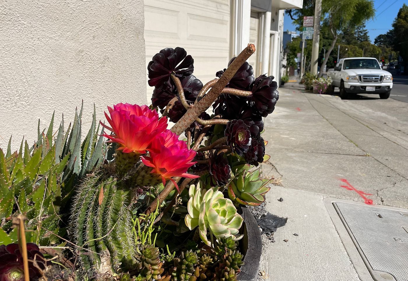 Tuesday Morning Topline: 80-Year-Old Ice Cream Man Robbed In Oakland