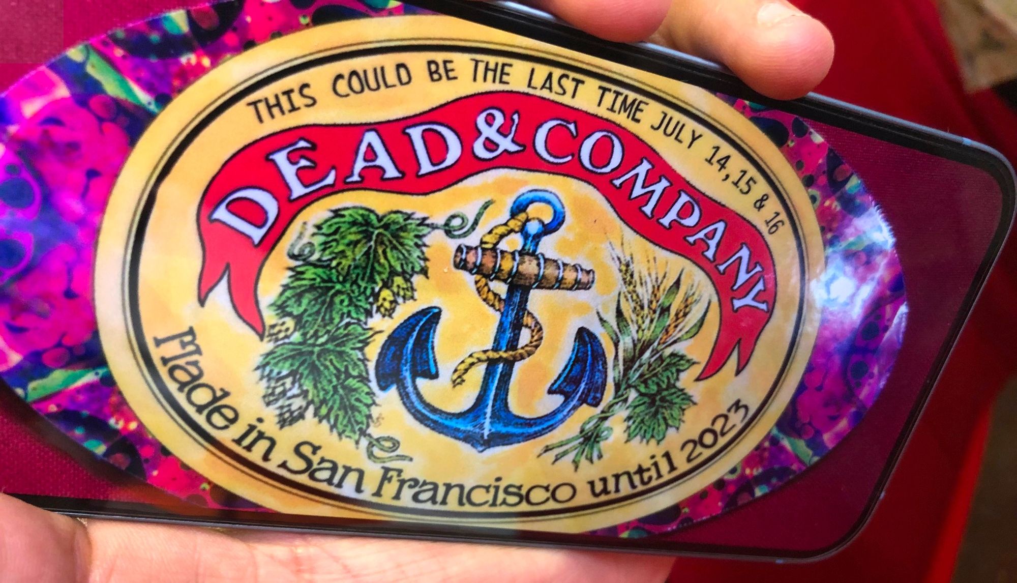 Day Around the Bay Those Dead and Company Shows Pumped 31 Million