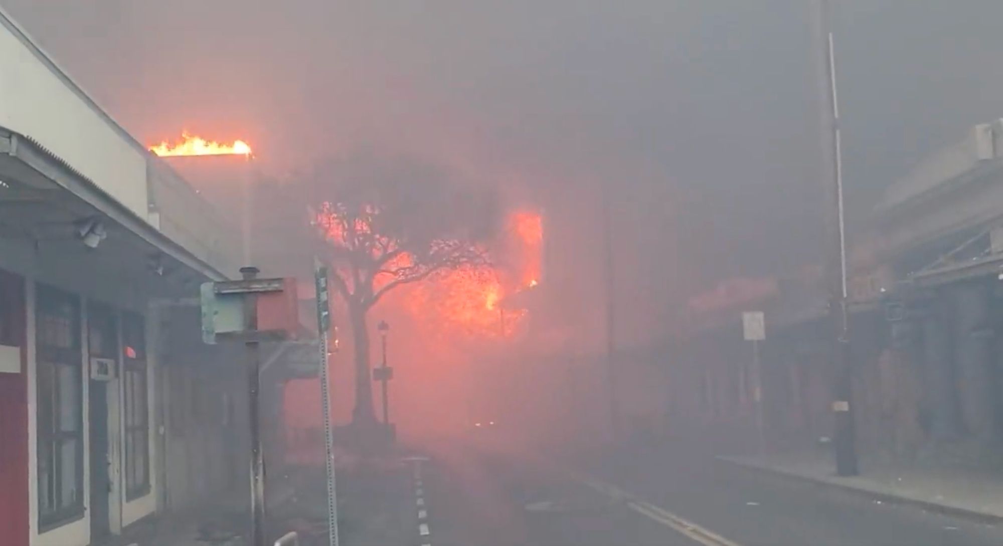 Hawaii Wildfires Have Killed at Least 36, Burned More Than 1,000 Acres, Forcing Mass Evacuations