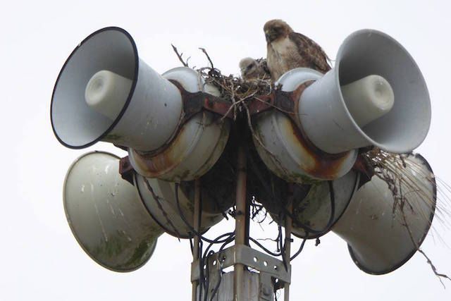 SF's Famed Tuesday Noon Sirens Still Shut Down and Silent, Their Return Delayed Indefinitely