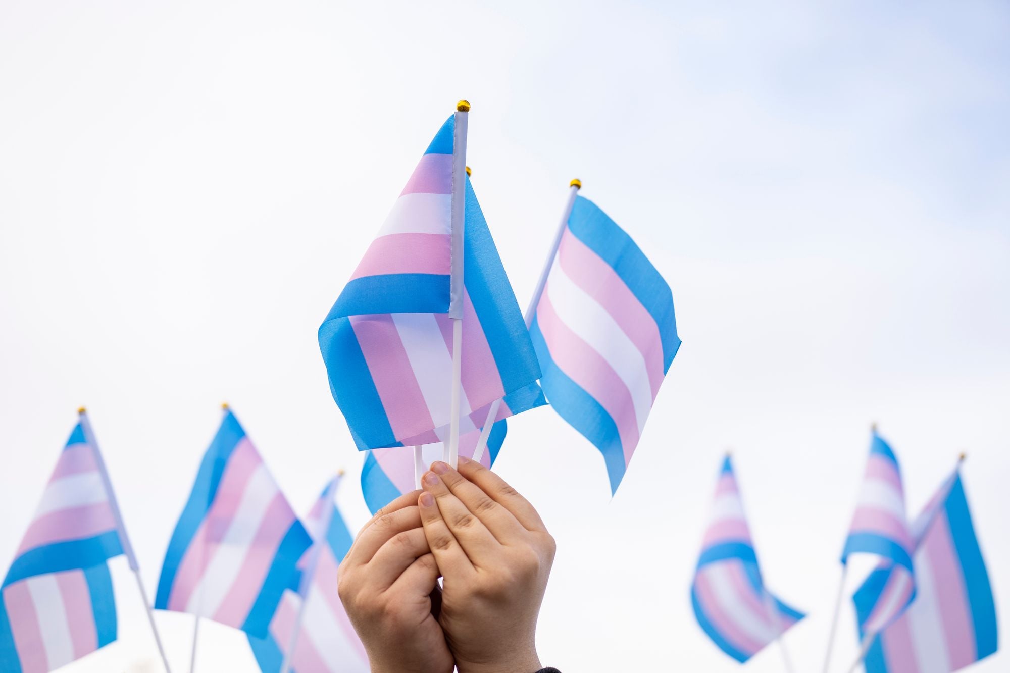 Report: Trans People Seven Times More Likely Than Cisgender People to Experience Violence In California