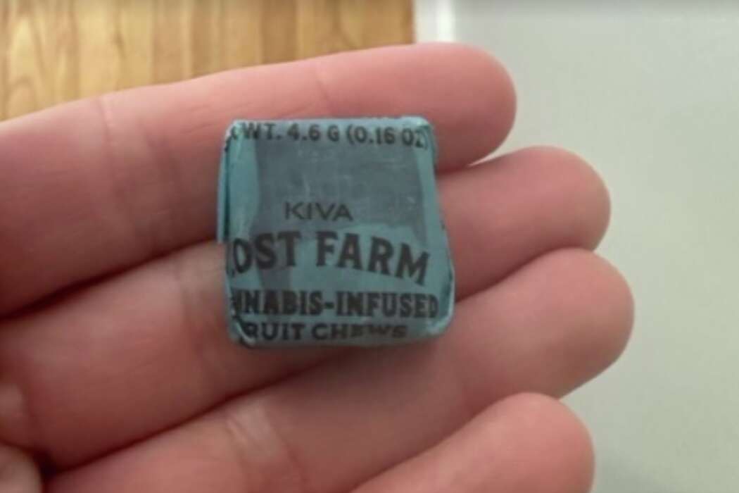 Kids Given Cannabis-Infused Candy at Alameda Elementary School Trick-or-Treating Event