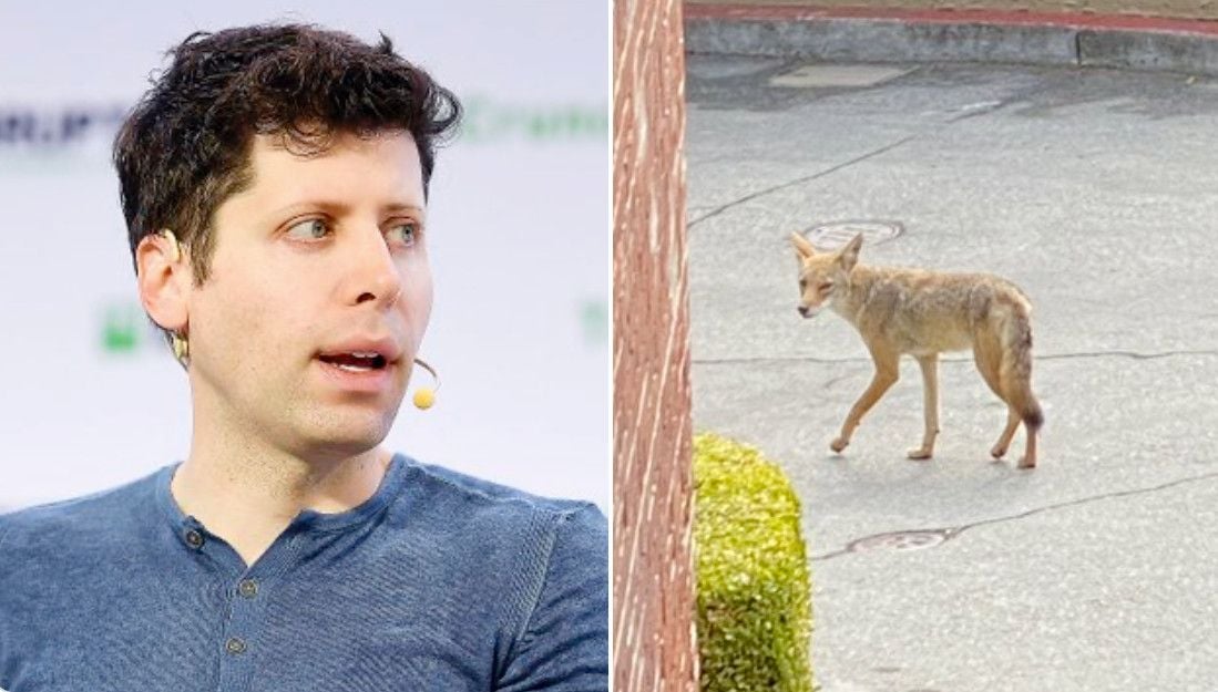 OpenAI CEO Sam Altman Has Coyote Trouble at His $27 Million Russian Hill Mansion