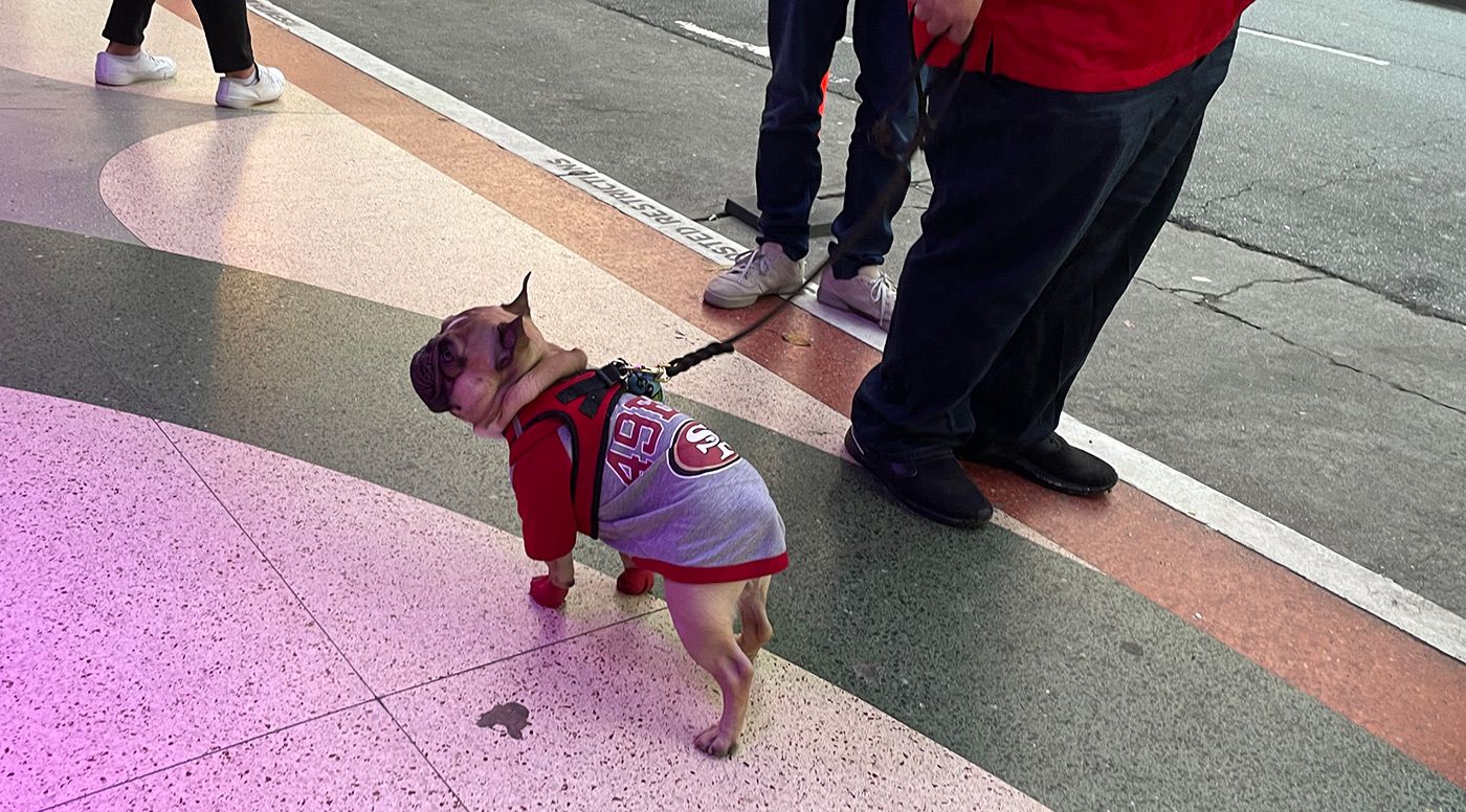 Monday Morning Headlines: Balmy Days, Then a New Storm