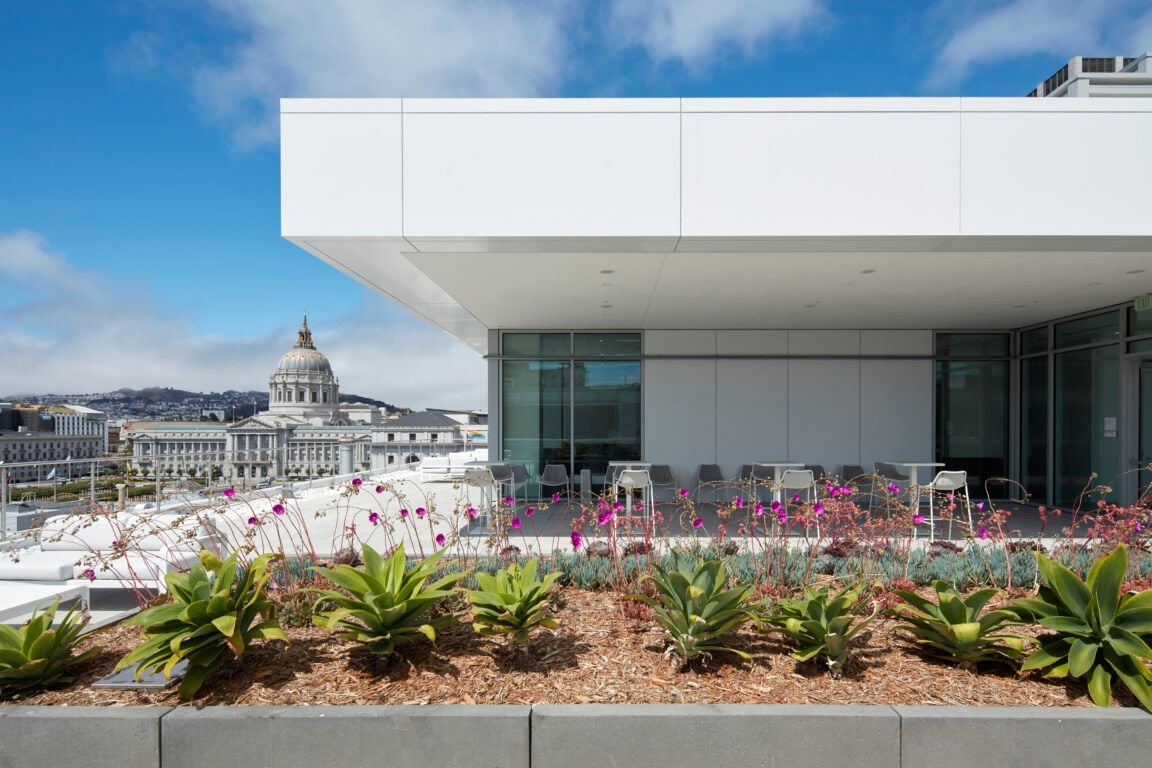 University of California Might Give London Breed That SF Expansion Campus She’s Been Hankering For