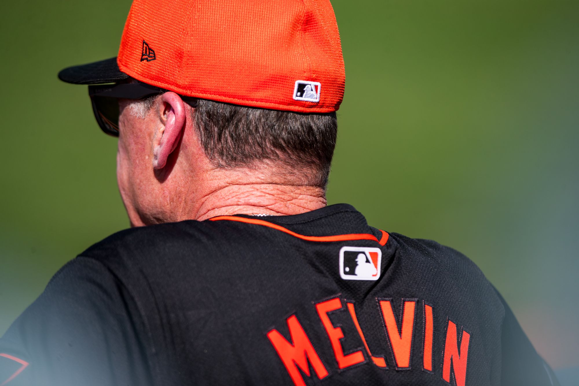 Giants Season Preview: The Melvins Hope to Rock Harder Than Their Mediocre Expectations