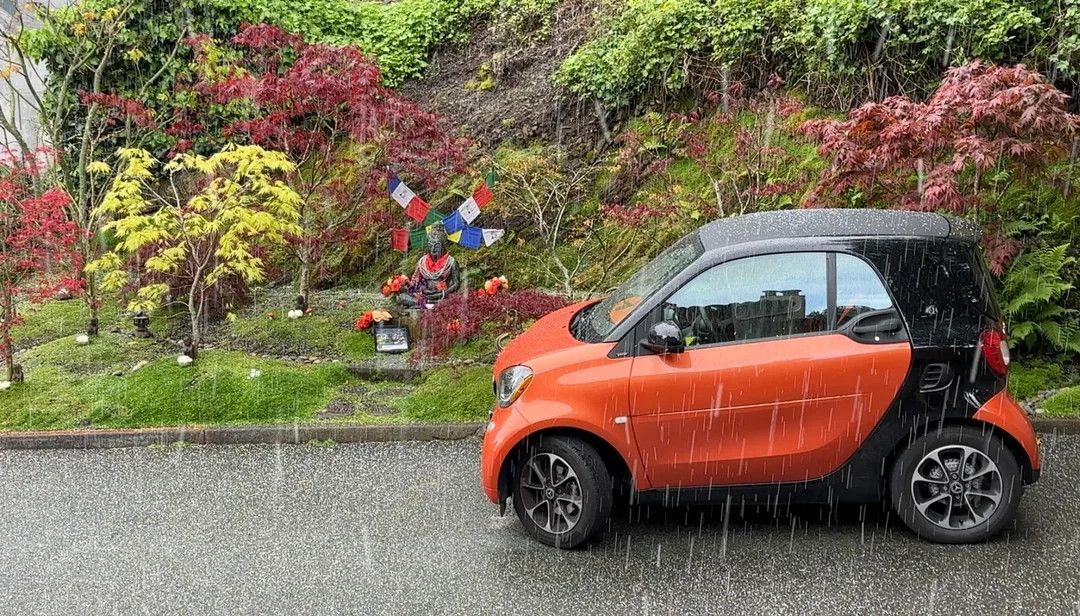 Day Around the Bay: A Little Hail Fell in Parts of San Francisco Today