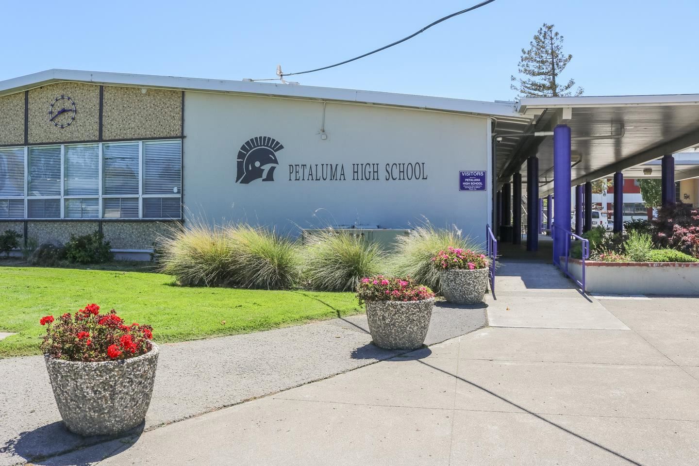 North Bay School Gymnasium Evacuated After Naked, Bloodied Woman Walks In