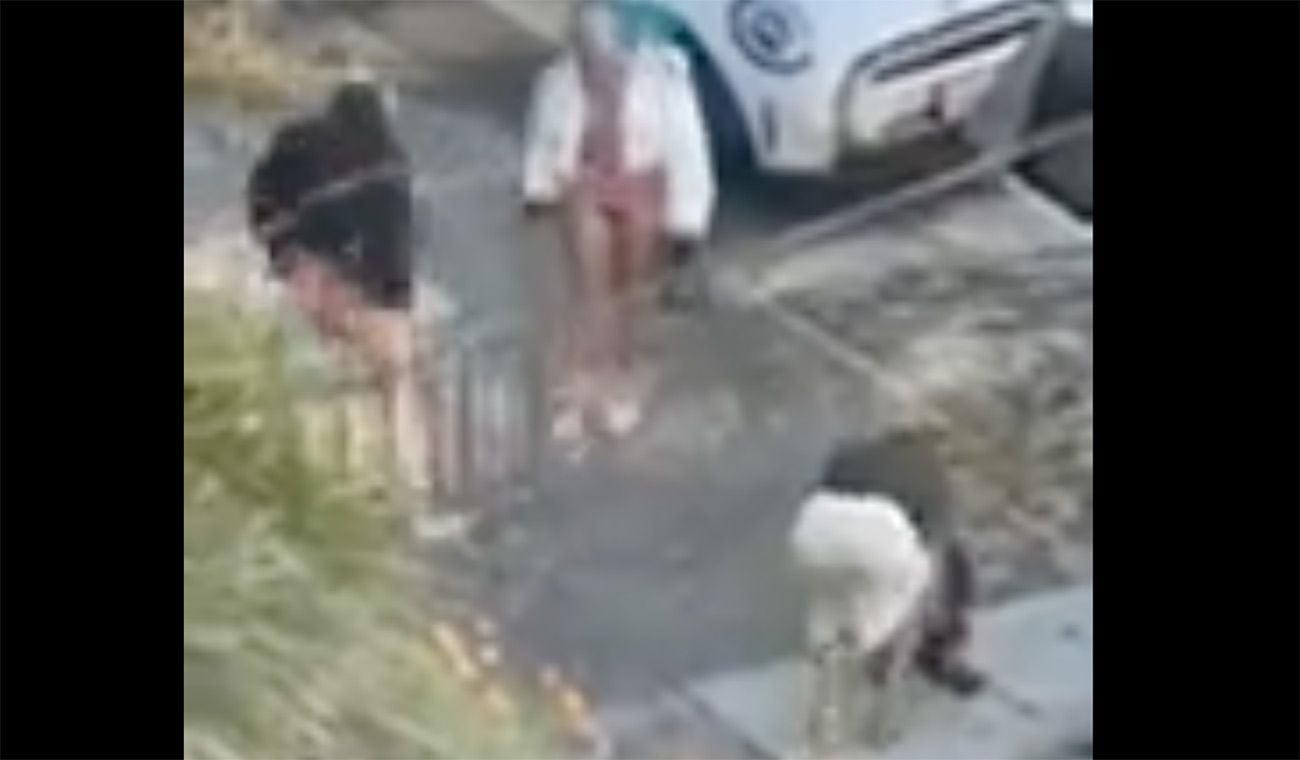 Assault on Shotwell Street Caught on Video; Neighbors Complain of Violence Involving Sex Workers