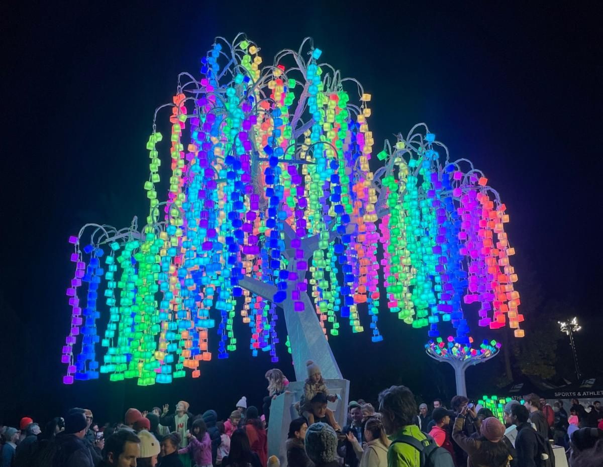 Day Around the Bay: Popular LED Forest ‘Entwined: Elder Mother’ Has Closing Party Saturday