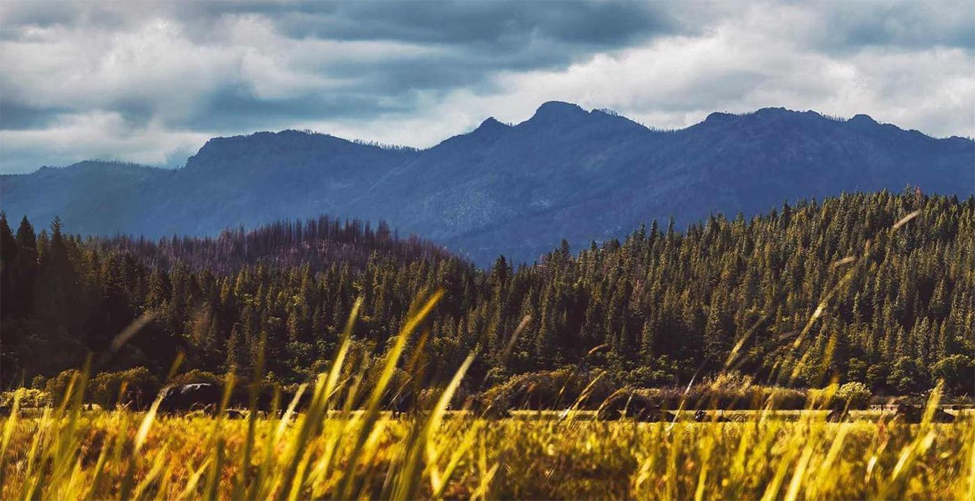 Rainbow Family Gathering Ordered Out of National Forest For First Time, Threatened With Fines