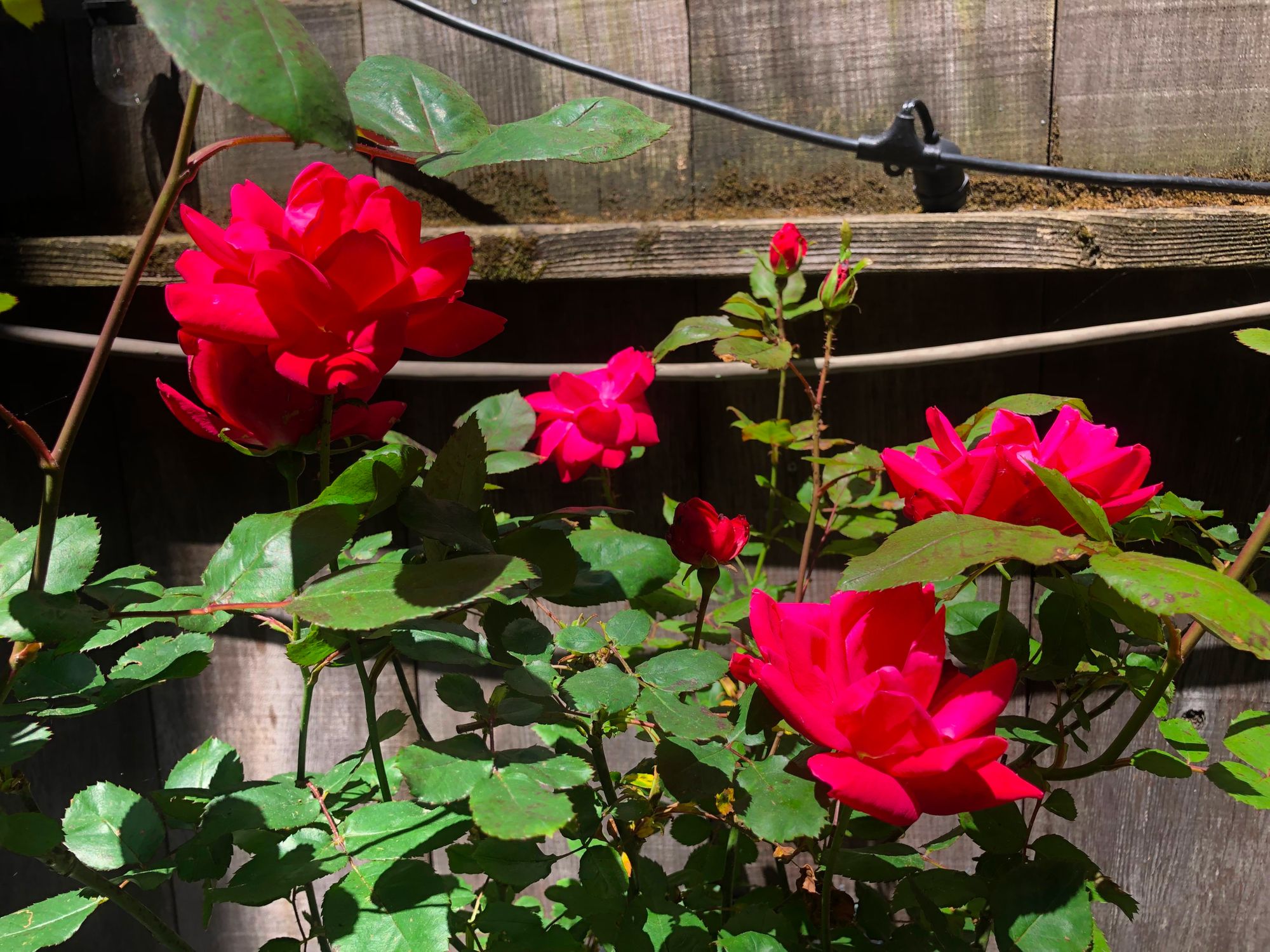 Day Around the Bay: Heat Wave Keeps Cooking, Wednesday Expected to Be Even  Hotter