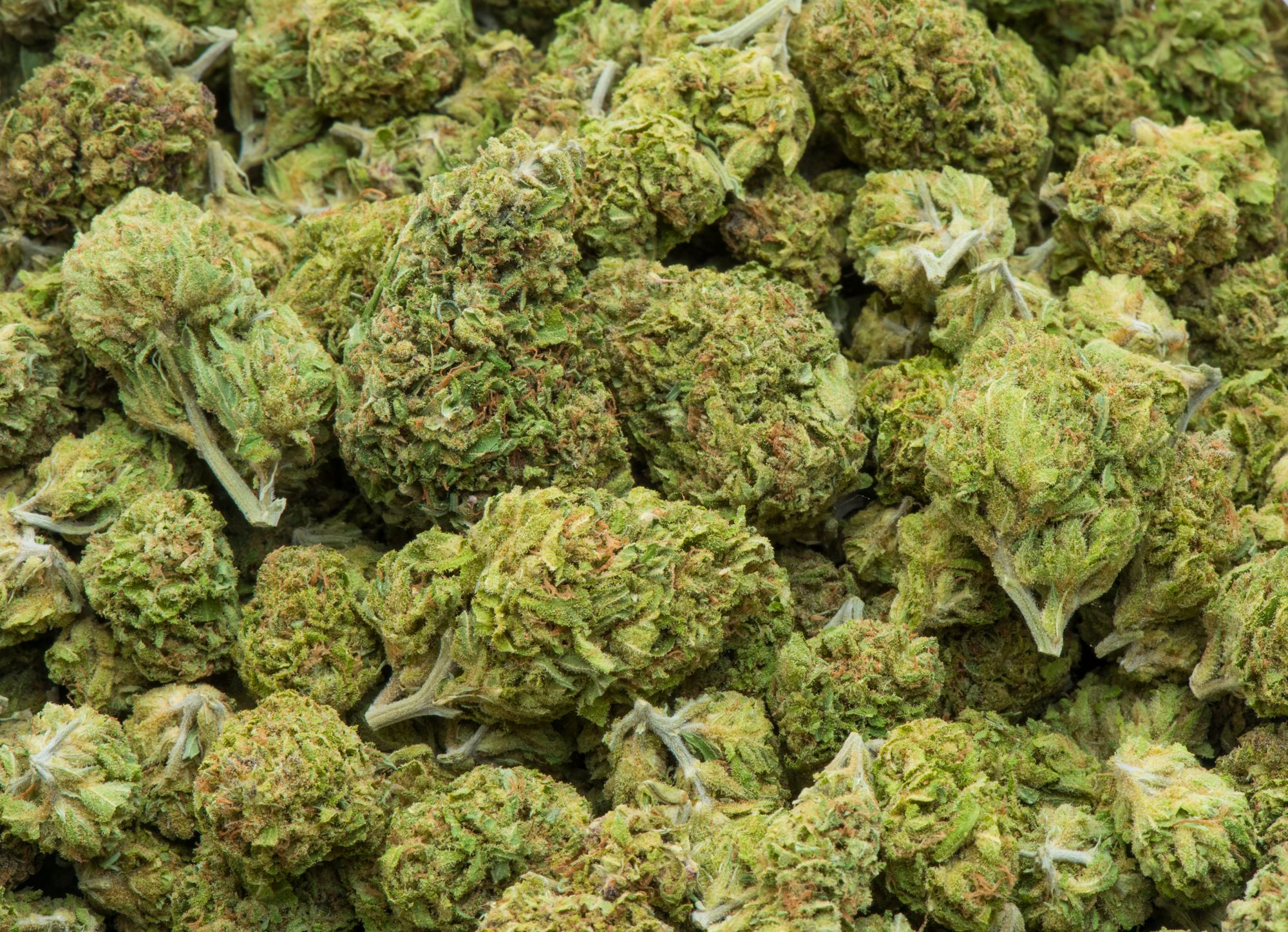 Bill Allowing Marijuana Sales at Farmers' Markets Clears State Legislature, Heads to Newsom’s Desk