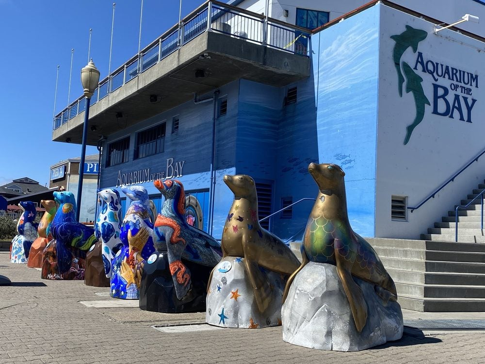 Aquarium of the Bay’s Ex-CEO Goes Nuclear With Lawsuit Full of Wild Allegations Over His Ouster