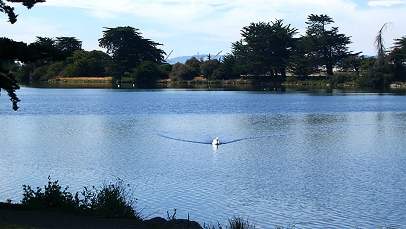 Man Arrested After Allegedly Running Over Person In Sleeping Bag In Berkeley's Aquatic Park