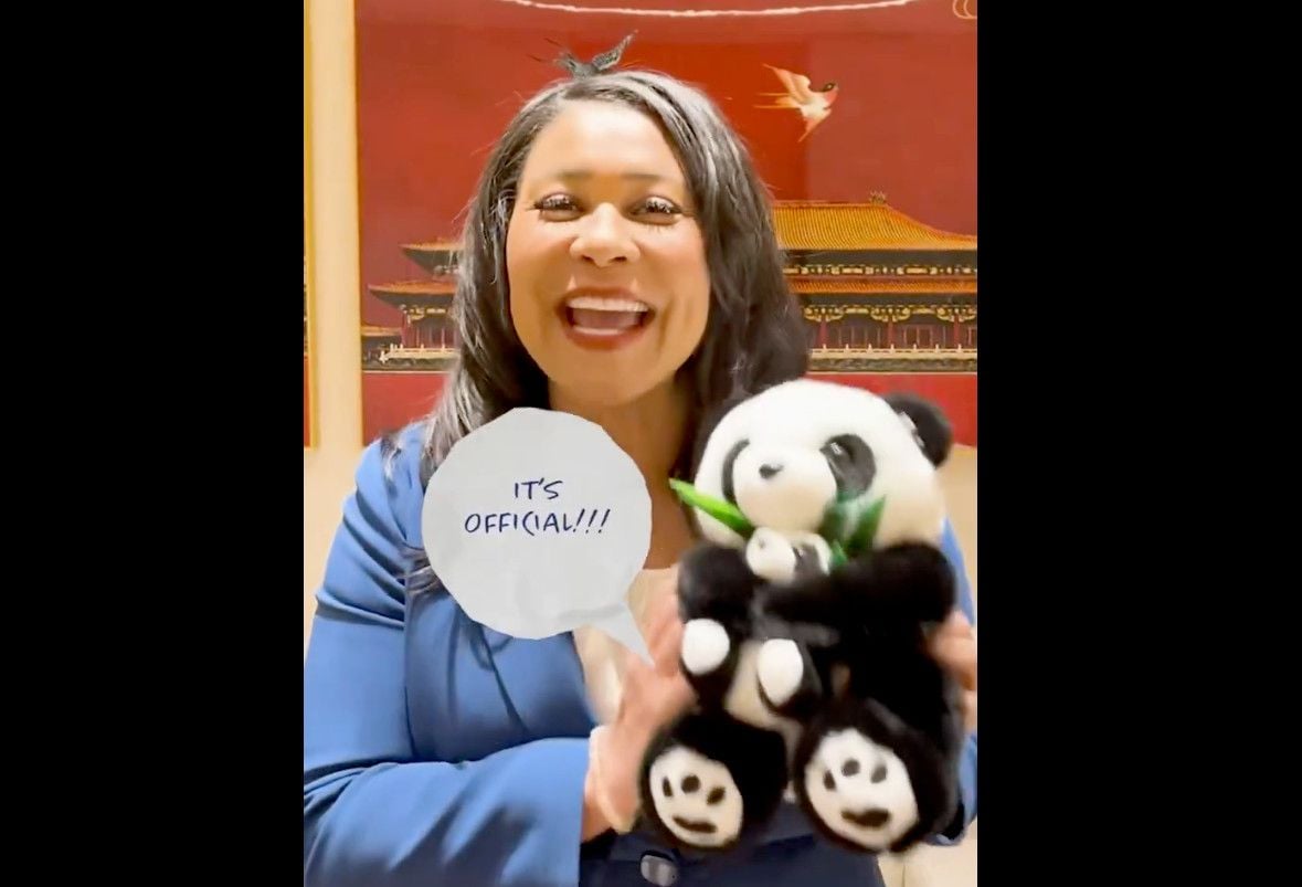 SF Zoo Claims It’s Nearing Its $20 Million Fundraising Goal to Bring Pandas to Town