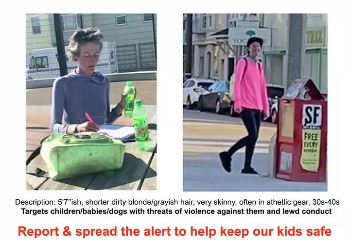Woman Who’s Been Serially Menacing Children in SF Parks Has Been Charged and Detained