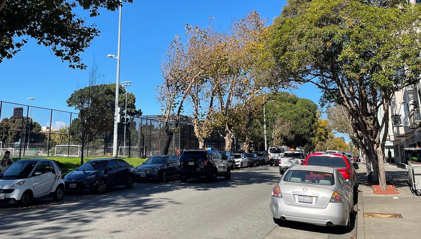 [Update] Dogs on the Loose Create Chaos In Fillmore District After Biting Two People