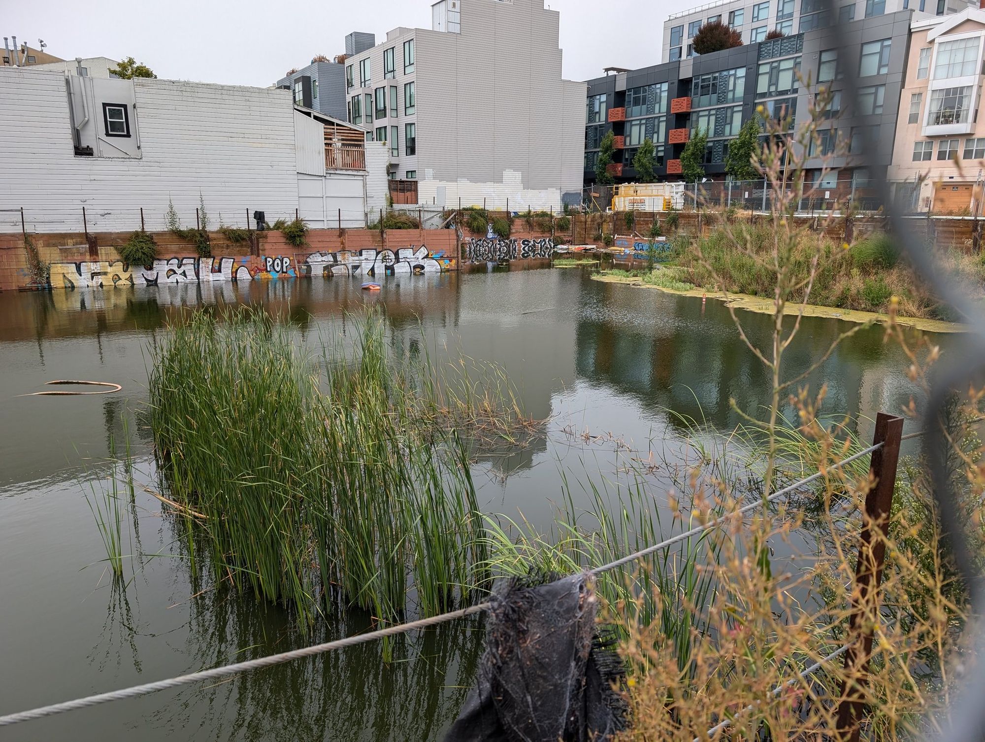 Developers Swear They Will Finally Clean Up ‘SoMa Trash Lake’ After Years of Complaints