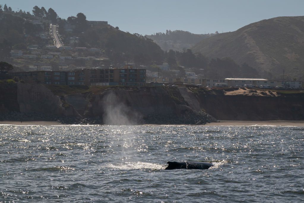 Sunday Links: Pacifica, Imperiled by the Ocean, Is Divided on Its Future