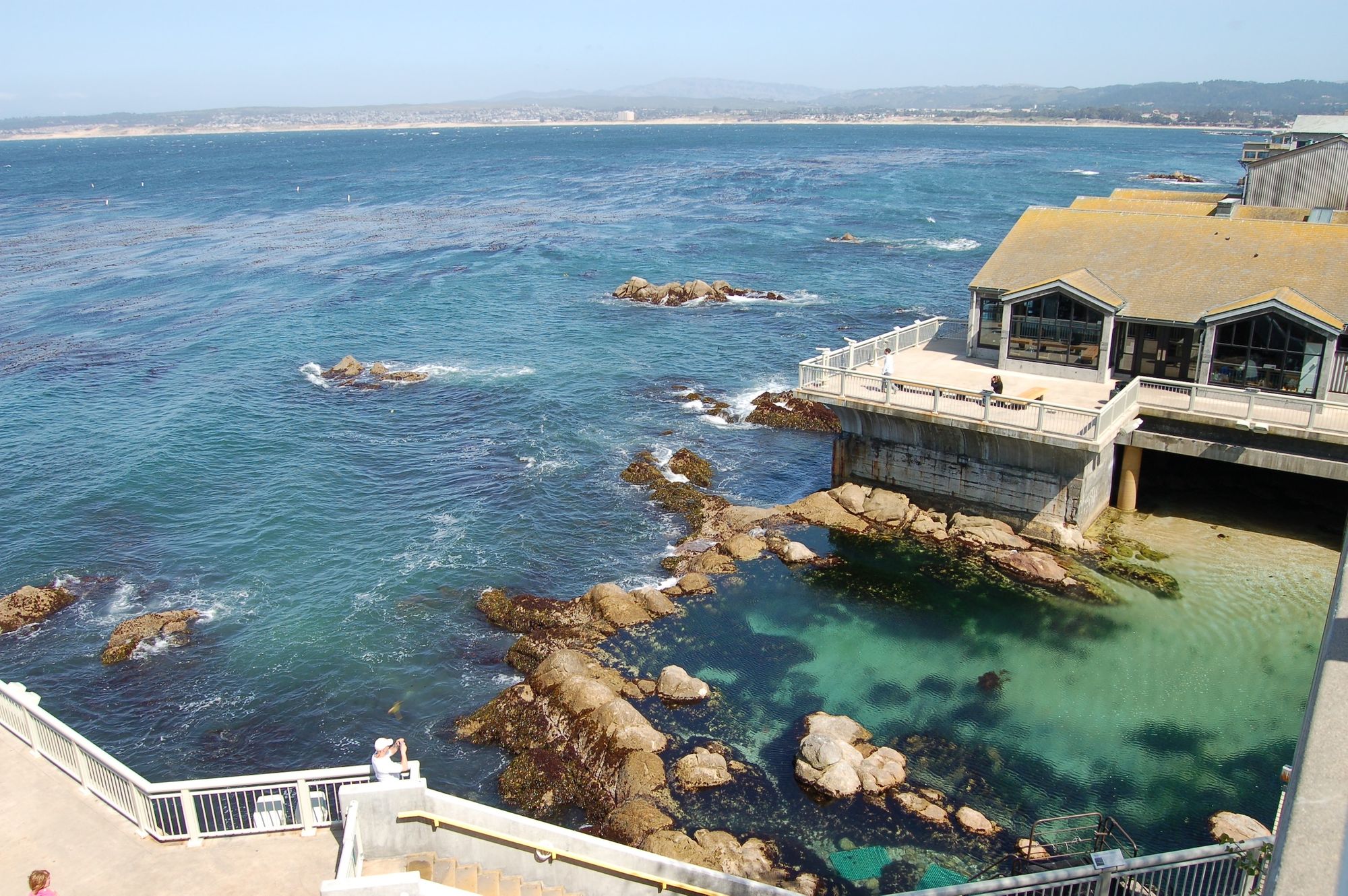 Monterey Teens Fight For The Environment, Media Frames Them As Villains