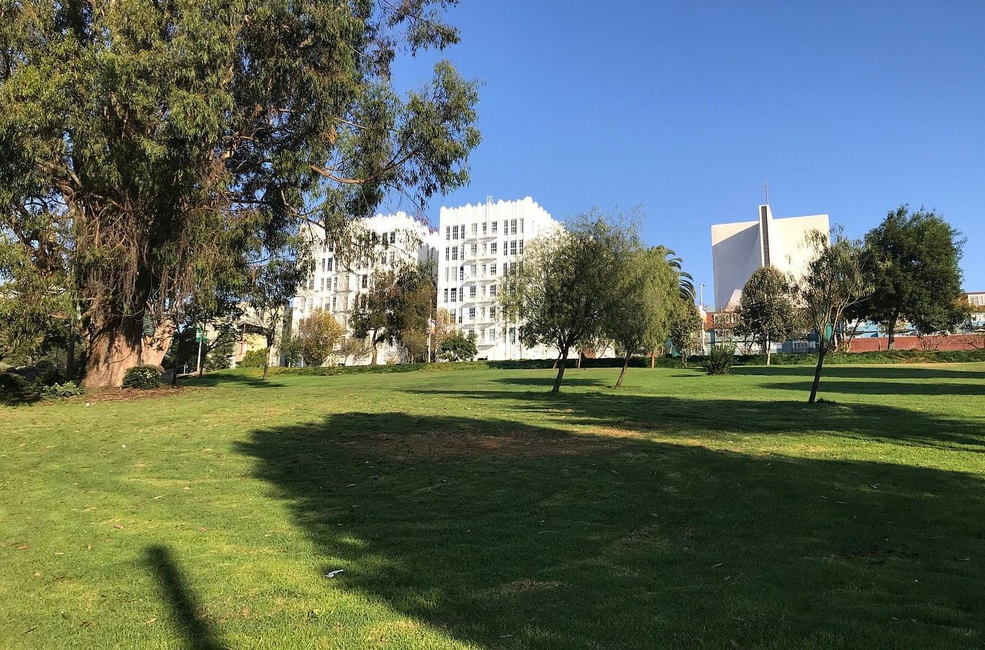 Another Spot Where the Drug Scene Moved, Jefferson Square Park, Gets Raided By SFPD Overnight