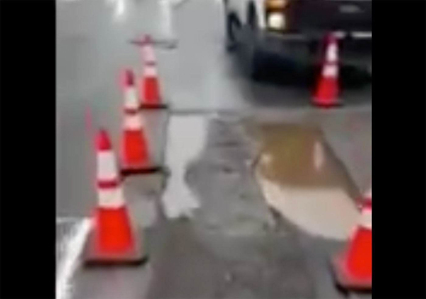 [Update] Connected Potholes, Not Sinkhole, Disrupt Traffic at Lombard and Gough Streets