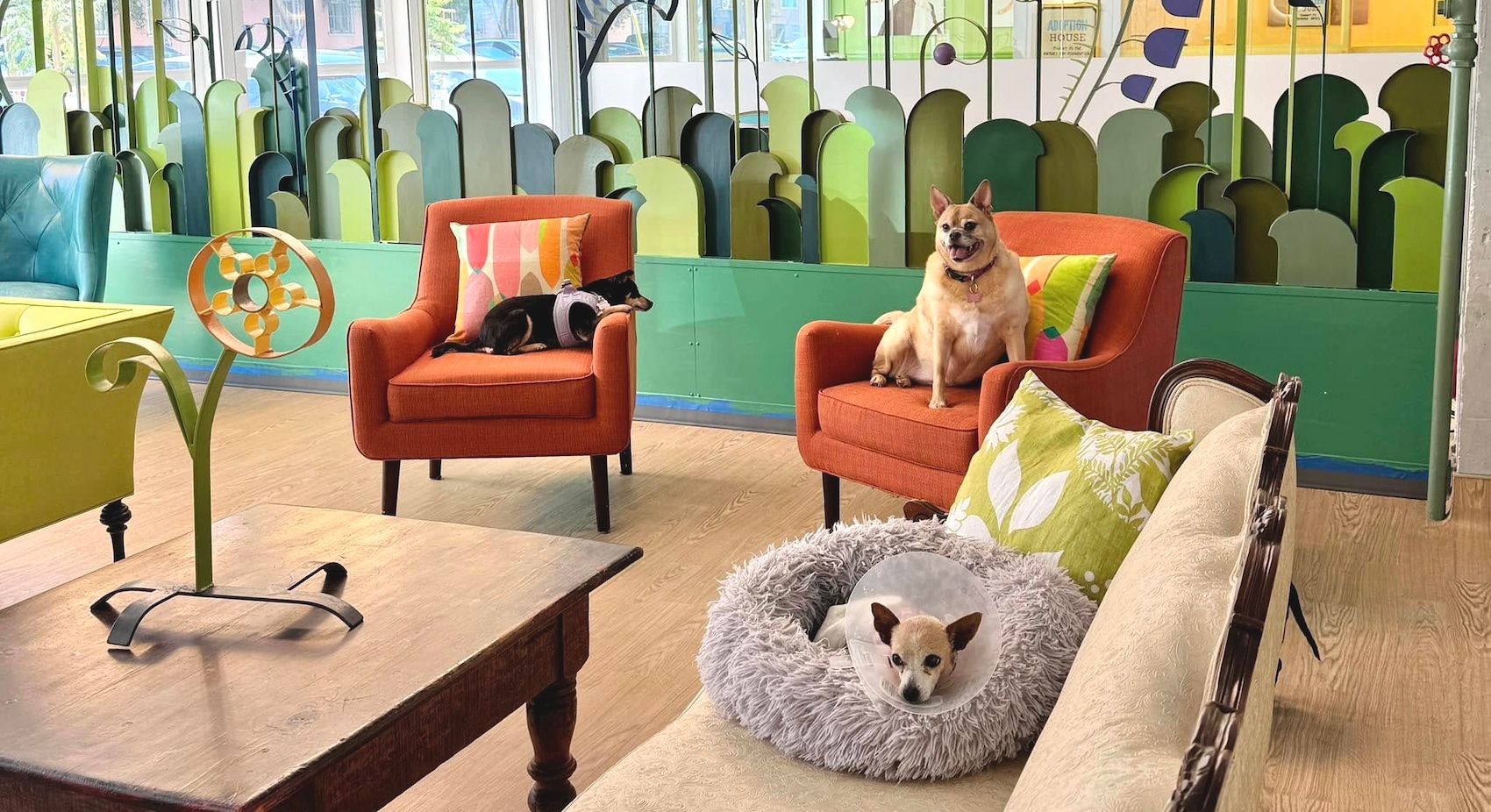Field Notes: Muttville, Pavement Plants, Fairyland' Flick, Tactile Maps, and a Hidden Mansion