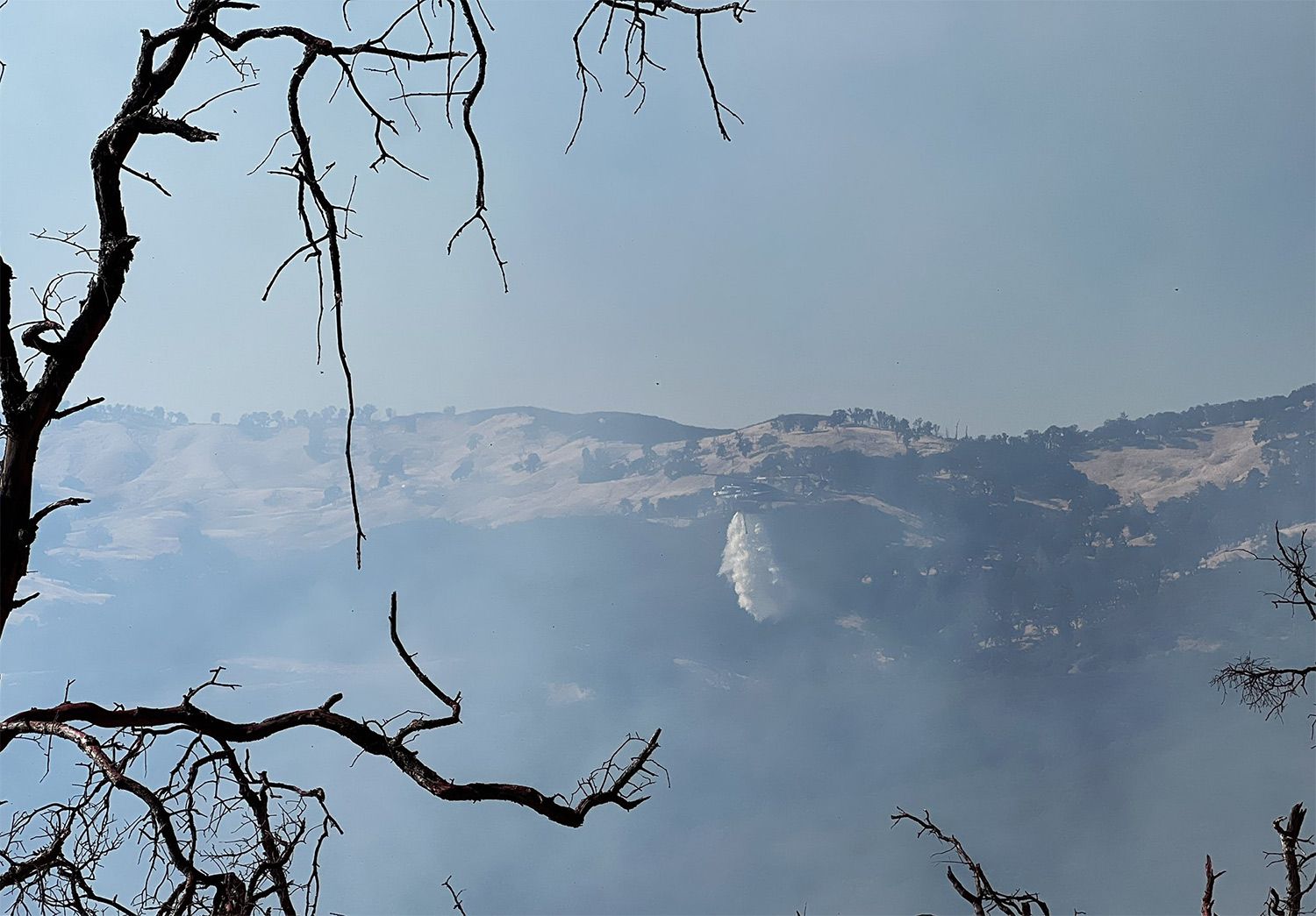 Day Around the Bay: Pickett Fire Smoke Likely to Spoil Some of the Grape Harvest