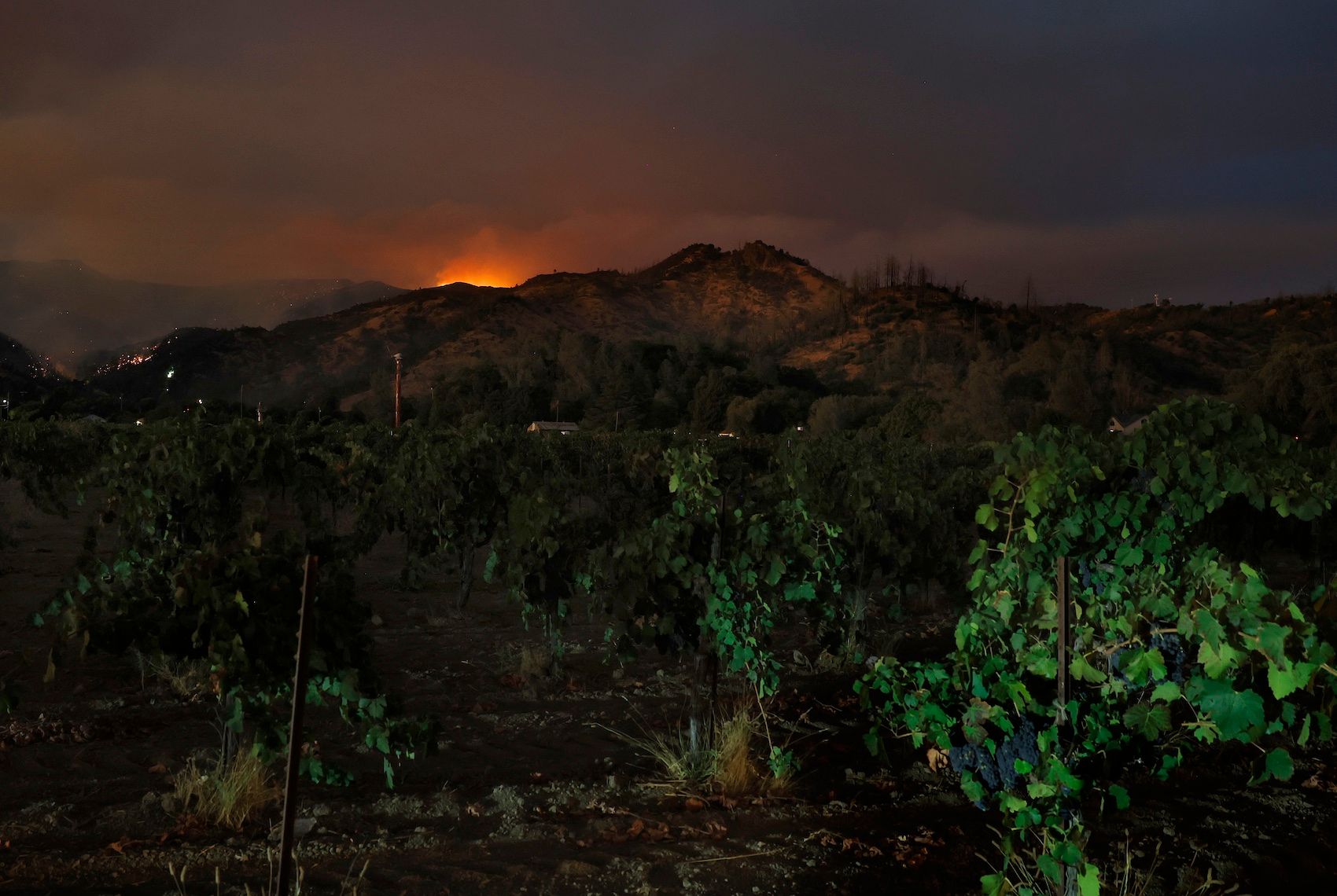 Pickett Fire May Have Ignited During Set-Up of Unauthorized Wedding at Napa Winery